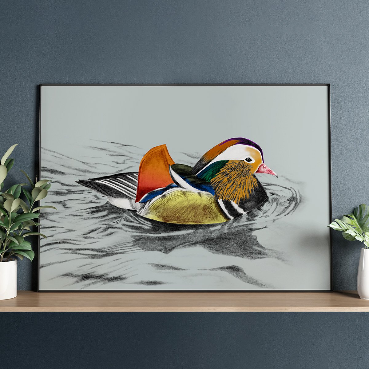 manderin-duck-grey-sq.jpg