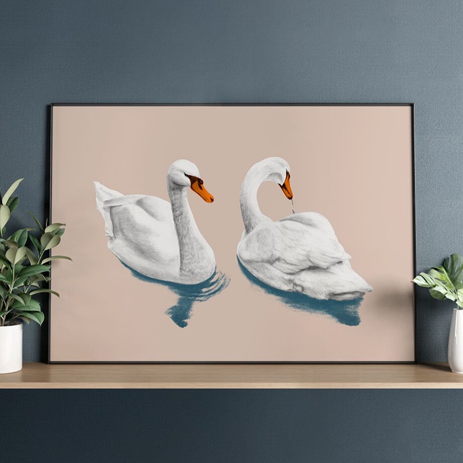 Swanning-around-col-33.jpg