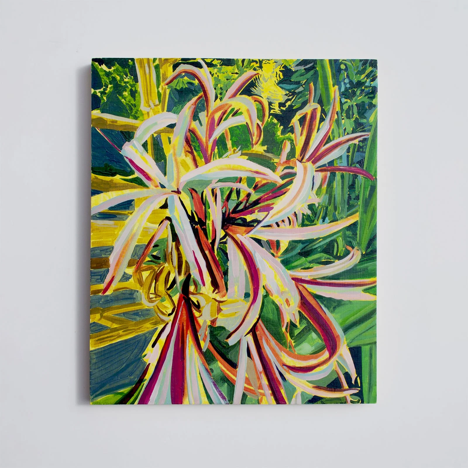 Adam- Smith-spider-lily-original-oil-painting.jpg