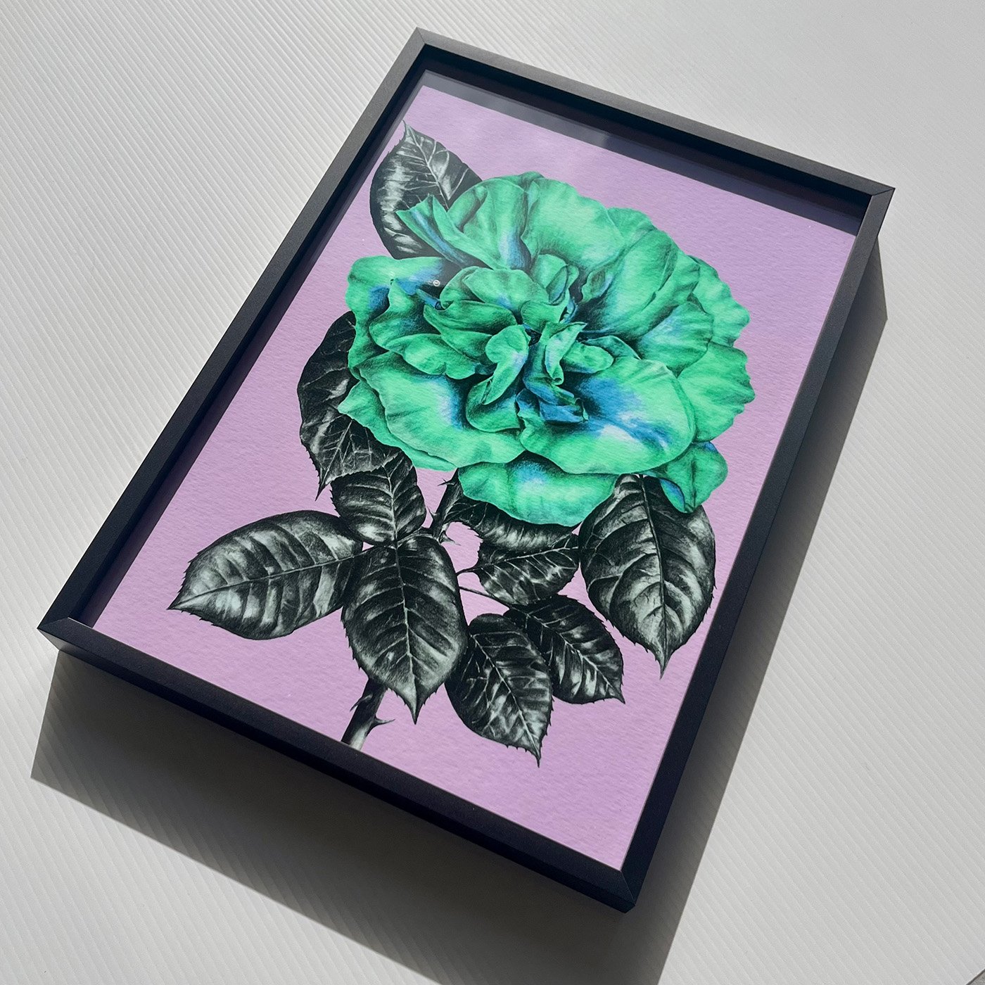 Suzi-M-Peace-Rose-giclee-art-print-lilac-aquamarine-2.jpg
