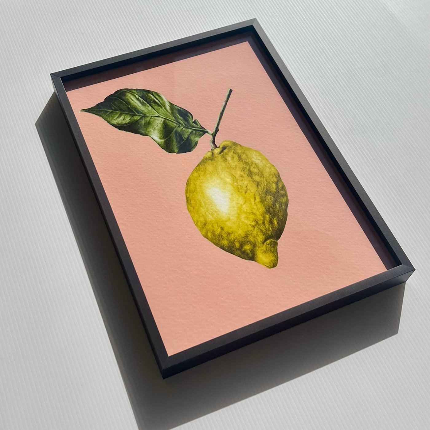Suzi-M-Sicilian-Lemon-Salmon-Pink-Giclee-fine-art-1.jpg