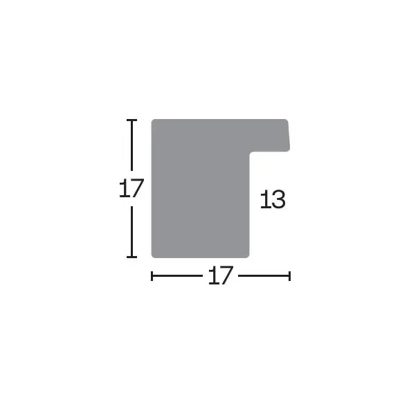 MiniCube-1.ai_.webp