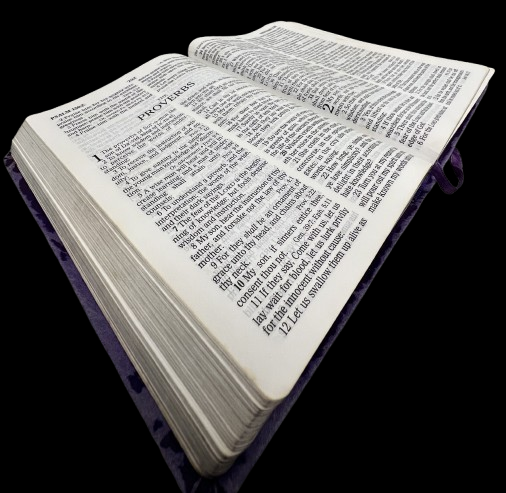 proverbsBible-removebg-preview.png