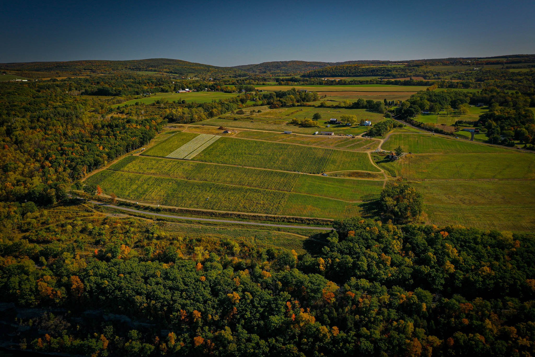 DJI_0933-3.jpg