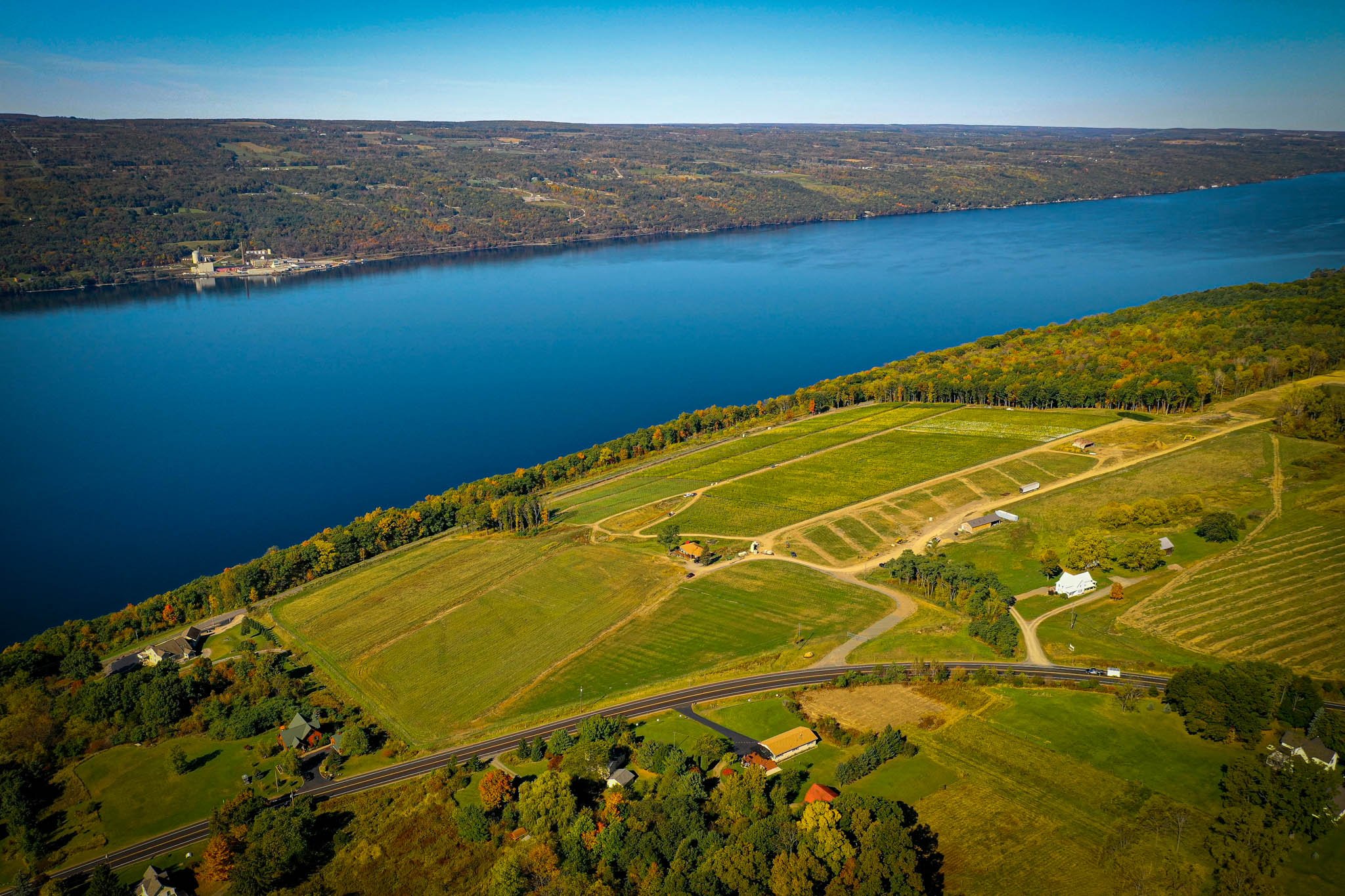 DJI_0959-3.jpg