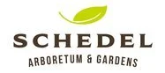 schedel-full-color-small.jpg