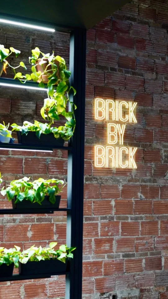 Brick wall with illuminated sign reading 'BRICK BY BRICK' and green potted plants on shelves.