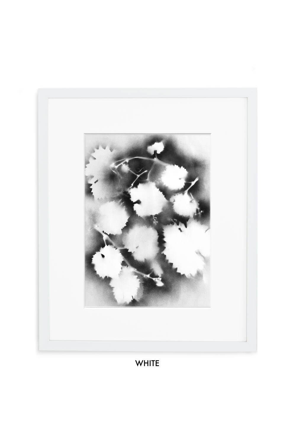 CDMMS1-Gallery-white-w-mat.jpg