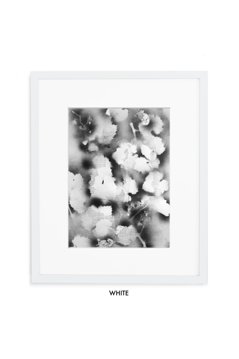 CDMGBS1-Gallery-white-w-mat.jpg