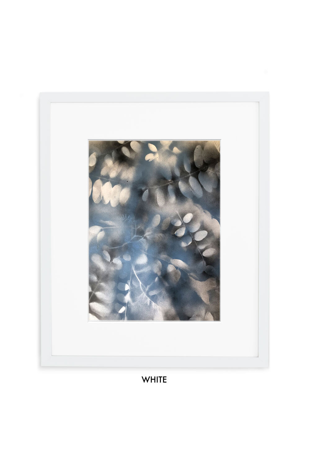 Locust-Spritz-Gallery-white-w-mat.jpg