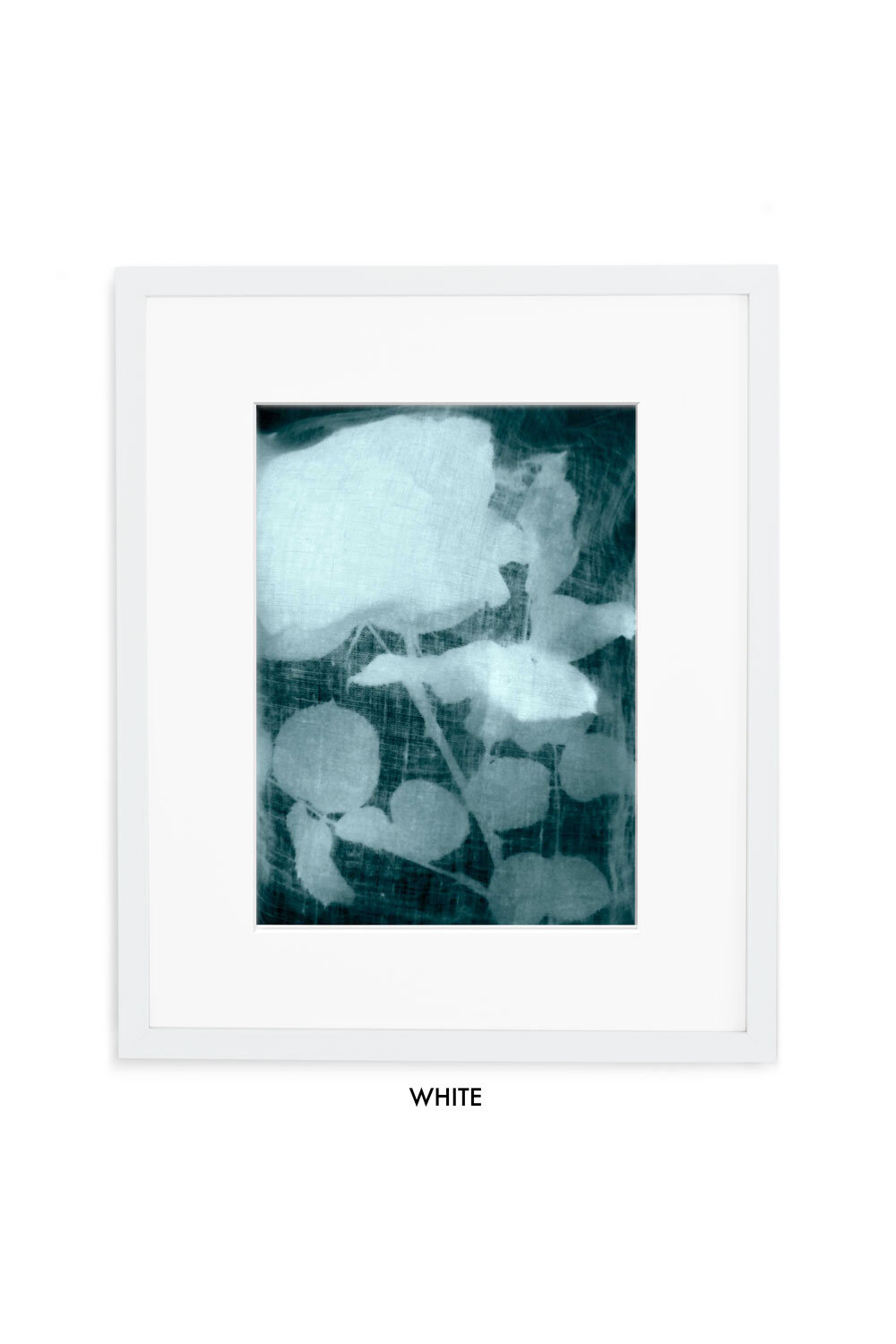 Shroud-of-Rose-Gallery-white-w-mat.jpg