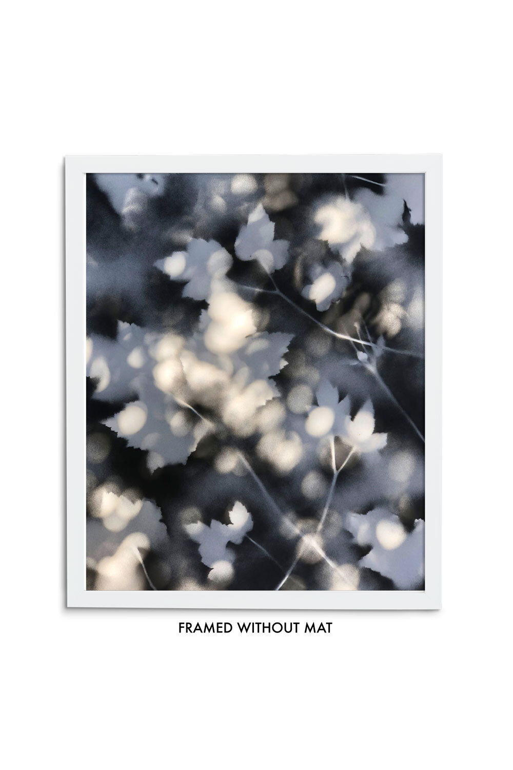 Anemone-Dapple-Gallery-white-no-mat.jpg