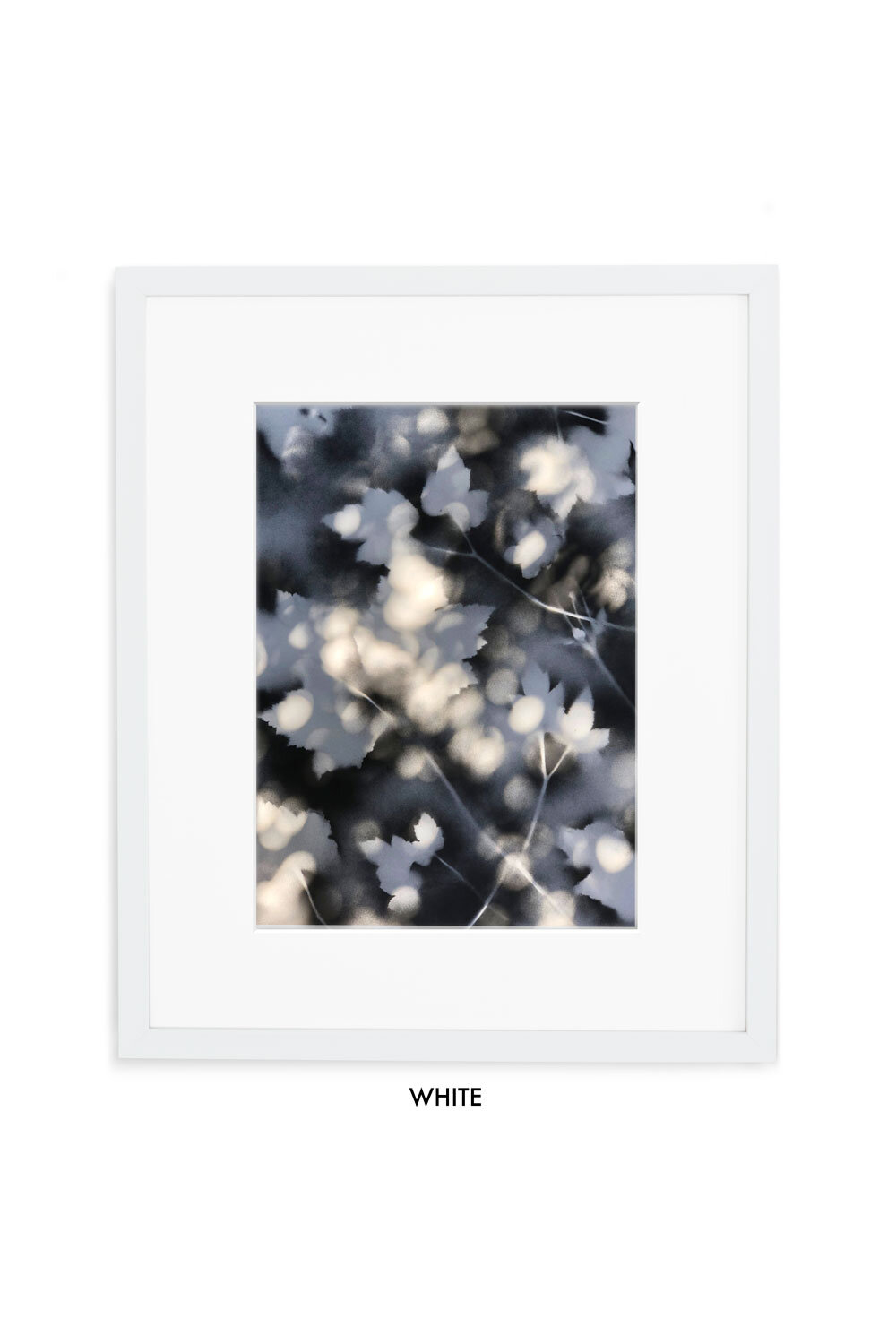 Anemone-Dapple-Gallery-white-w-mat.jpg
