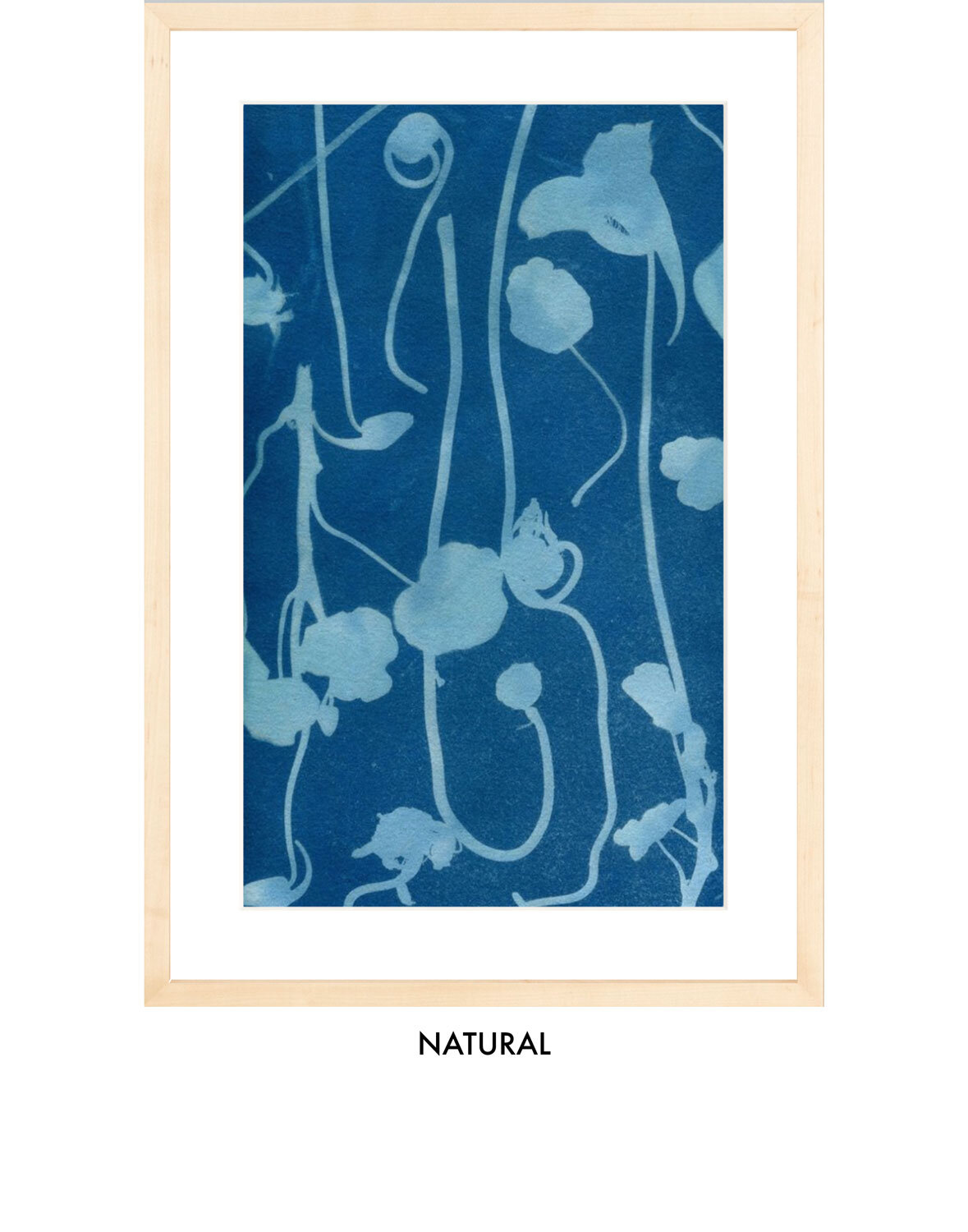 End-of-Season-nasturtium-natural with mat.jpg