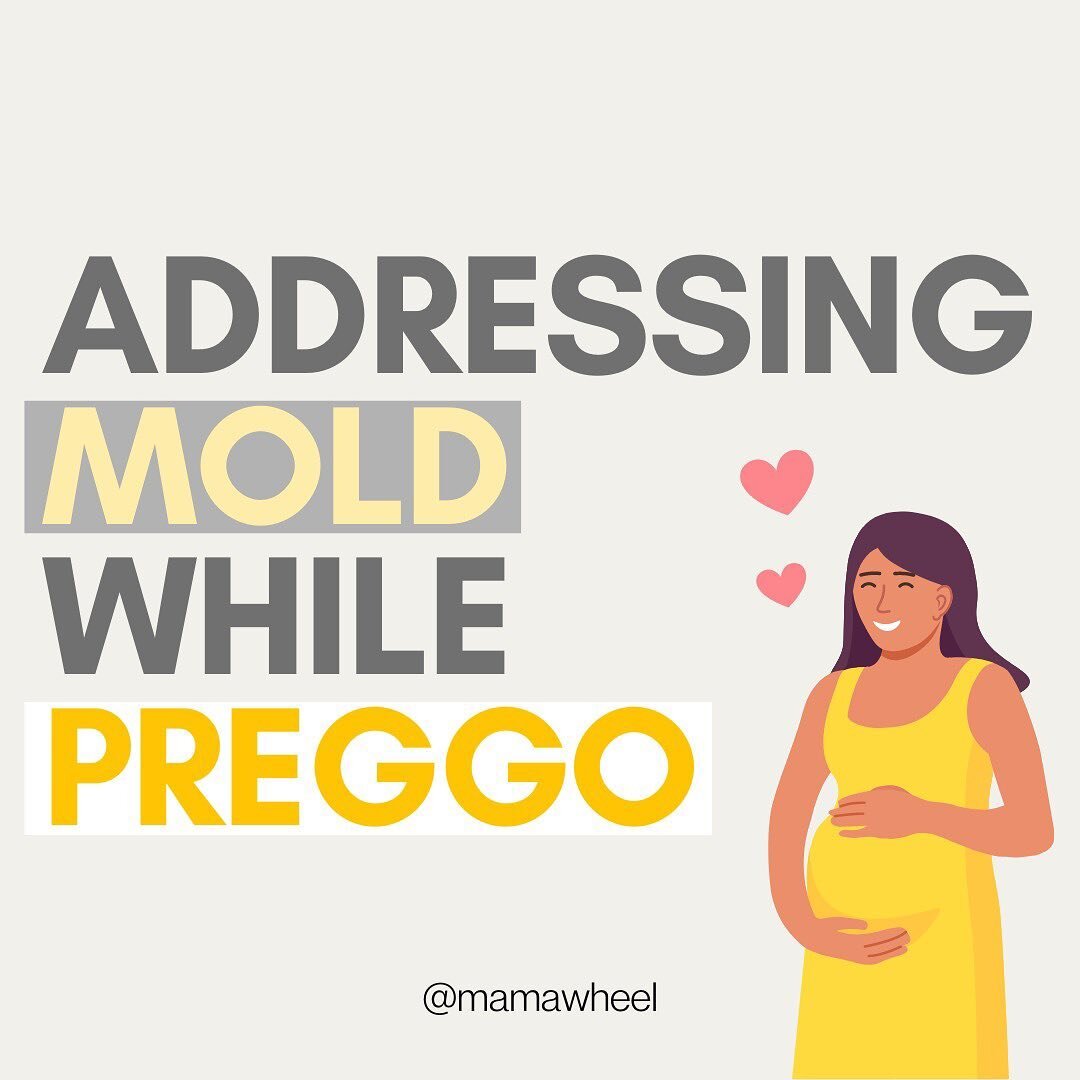 MOLD WANTS TO DECOMPOSE YOU FROM THE INSIDE OUT.

But you don&rsquo;t have to let it.

There are over 100k types of molds. Most of them are allergenic, while others are toxic.

But mold isn&rsquo;t an enemy or evil. It&rsquo;s actually a necessary co