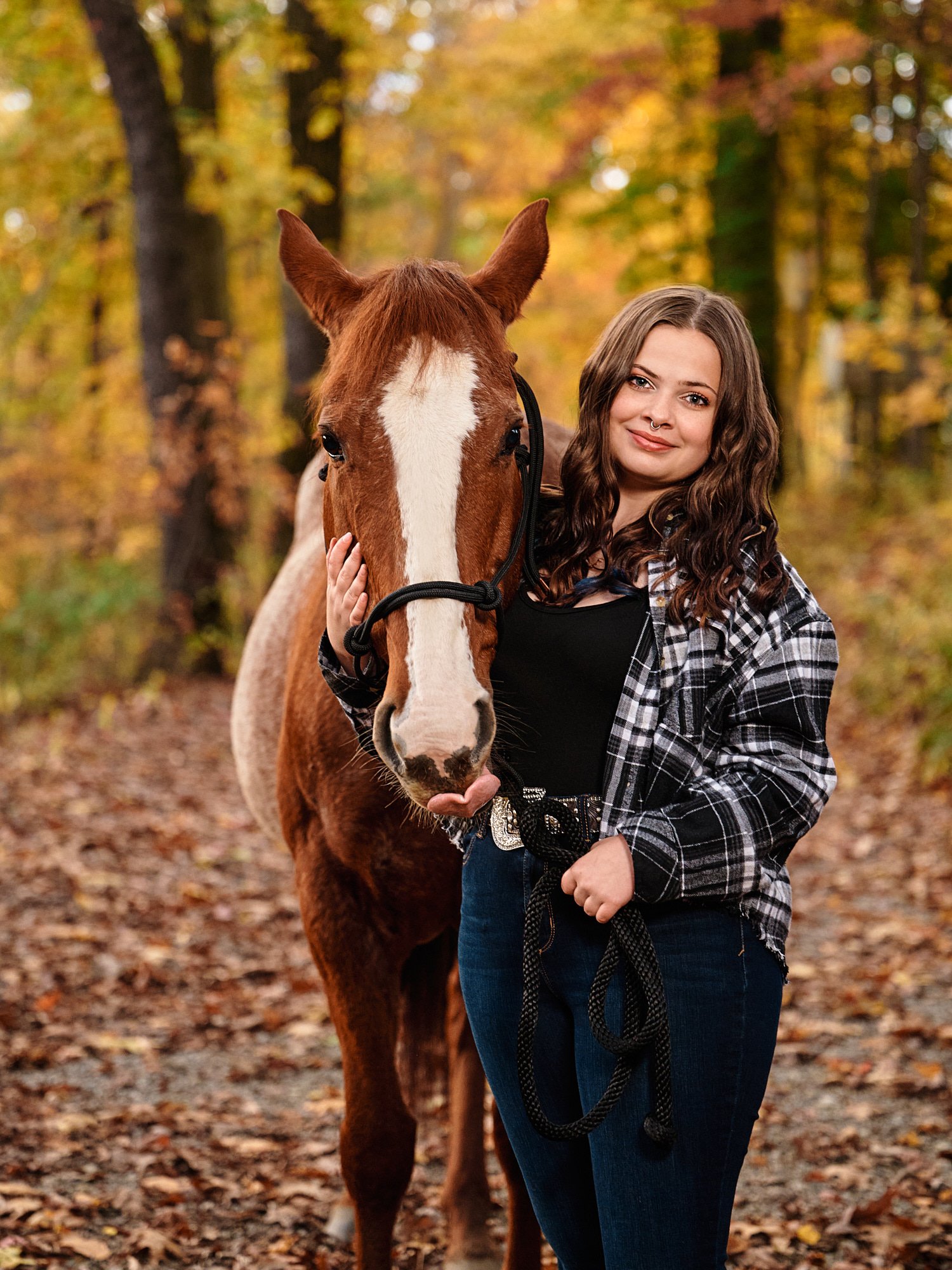  Heavyn Kerr is posing for high school senior portraits with a quarter horse in Hookstown PA. November fall foliage is at its peak with yellow and orange colors all around the beautiful teenage girl. 