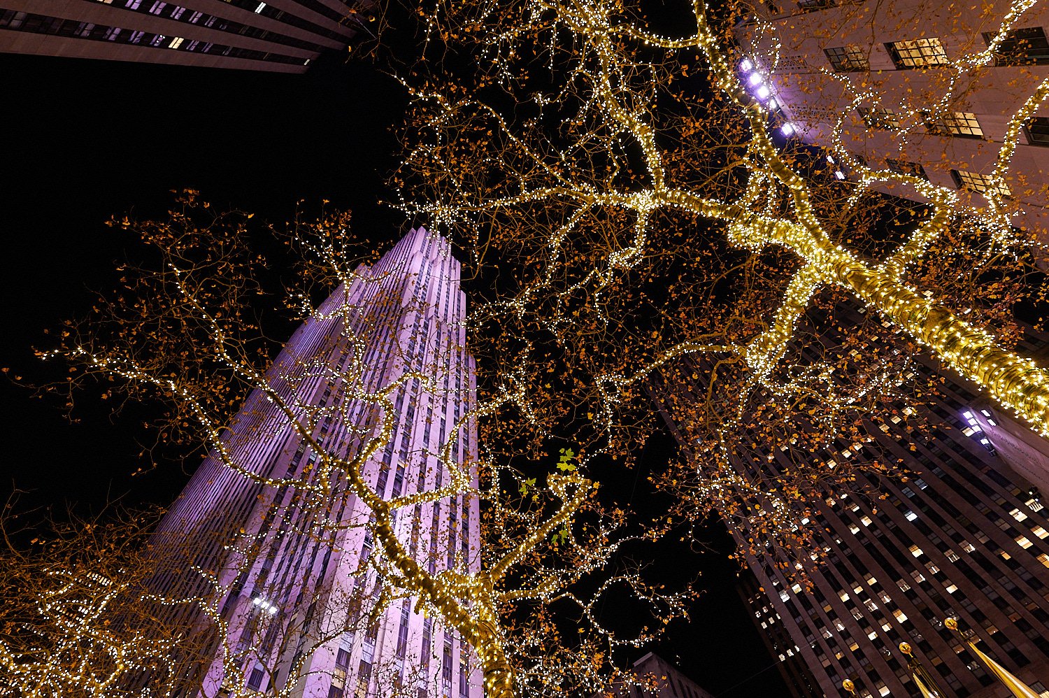 Christmas at New York City: Rockefeller Center and Saks Fifth Avenue —  Karina Eremina, Joy of the Moment Photography