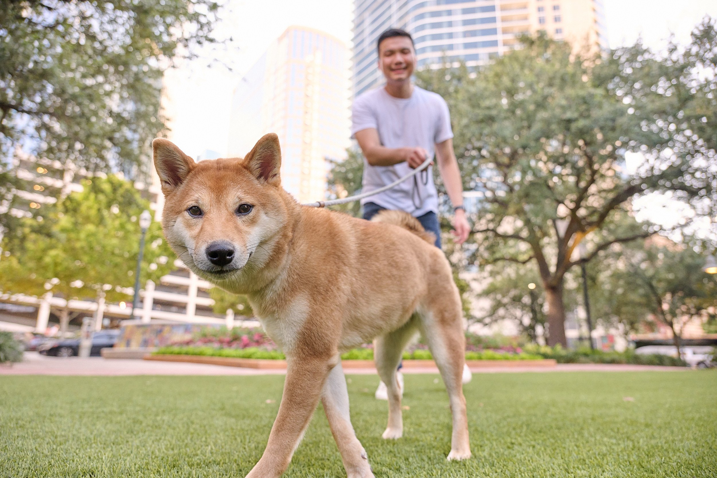  HOUSTON, TEXAS - AUGUST 27TH 2022: Yosa Puspo is posing in a suit with his dog for fun and memorable portraits in Downtown Houston. Market Square, Main Street and cityscape are perfect backgrounds. 