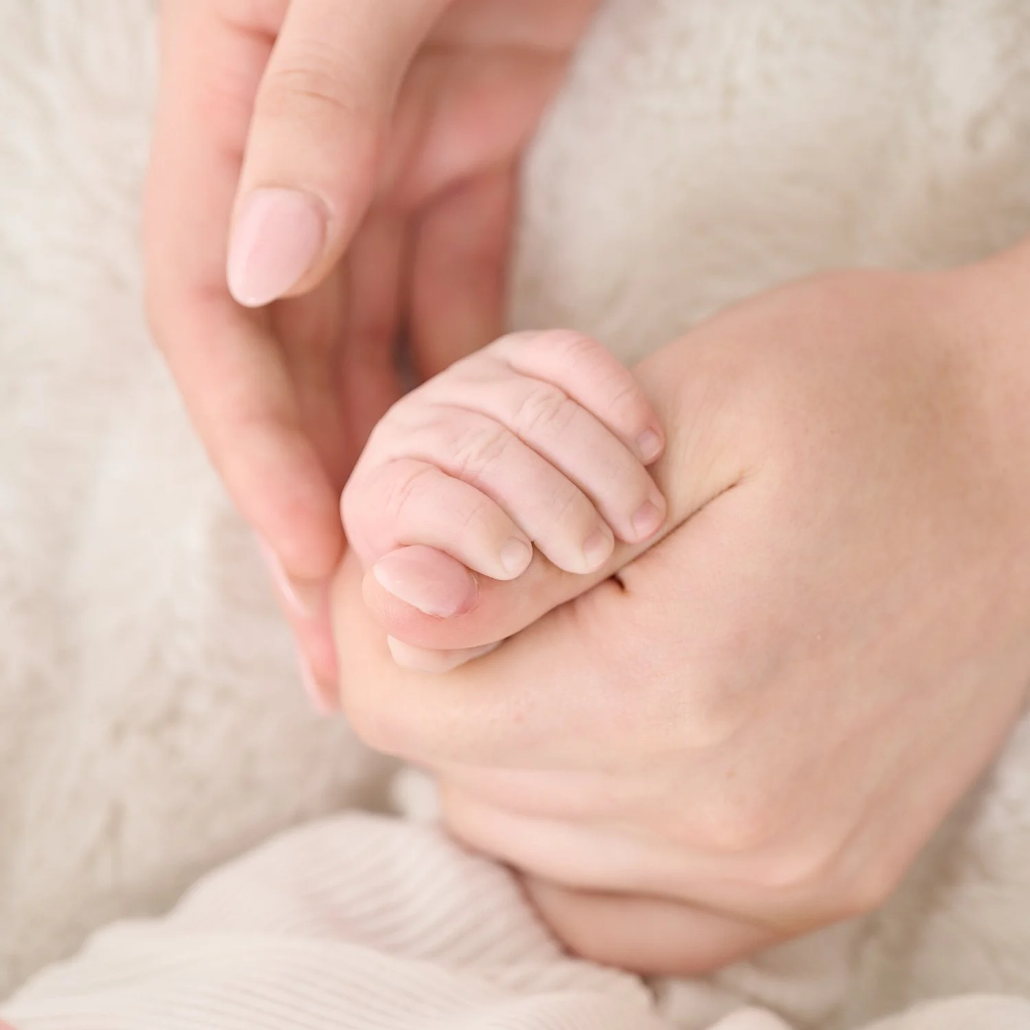 newborn-boy-studio-portrait-family-20240106_Z916277.jpg