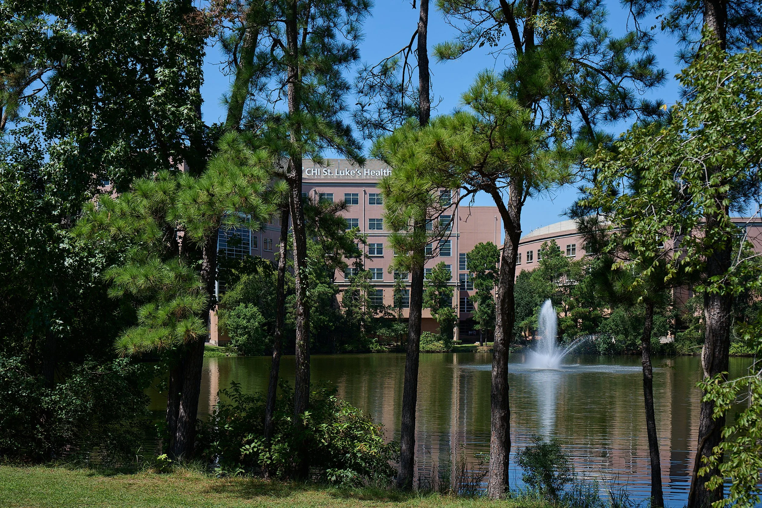 20250910_Z917137.jpg