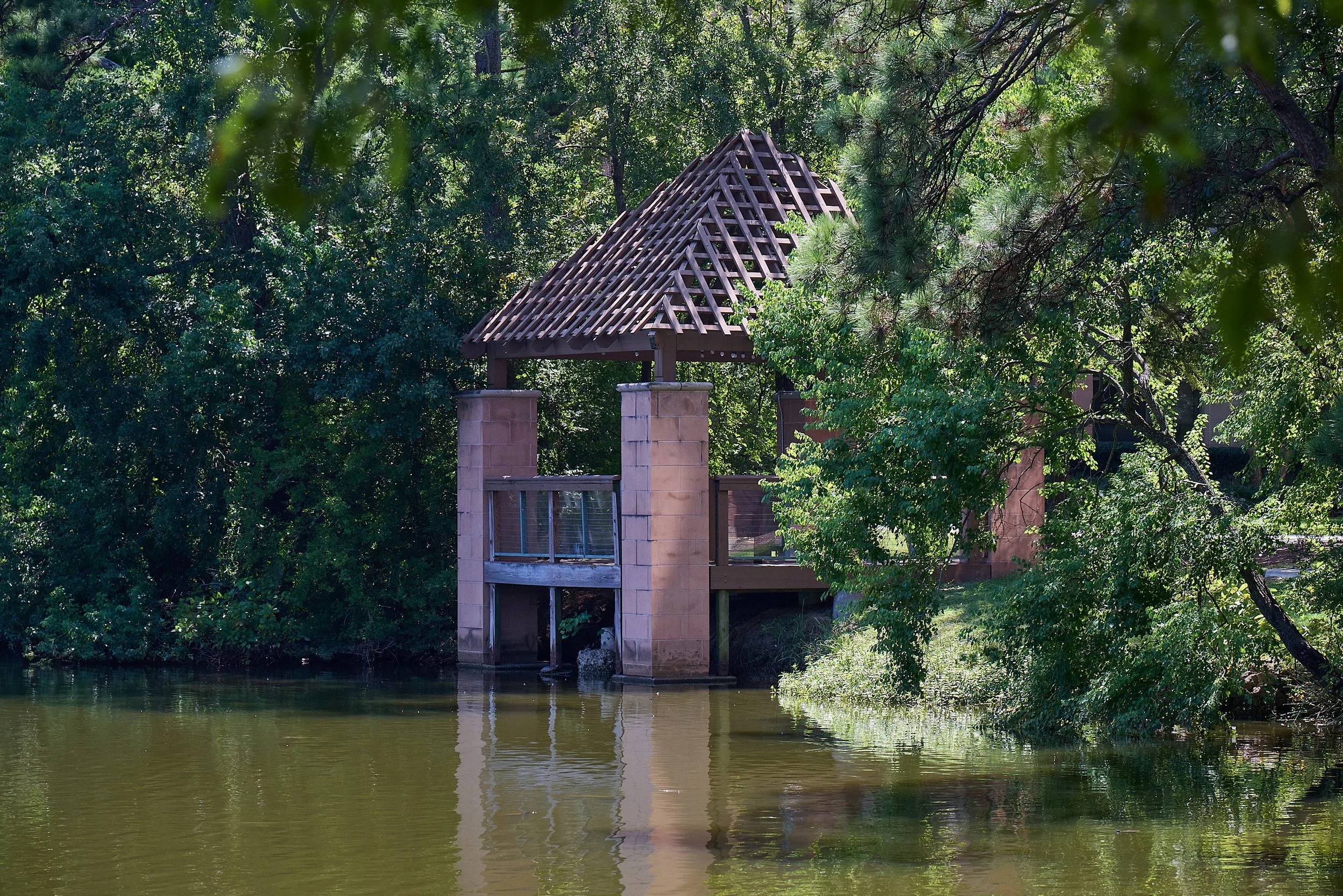 20250910_Z917187.jpg