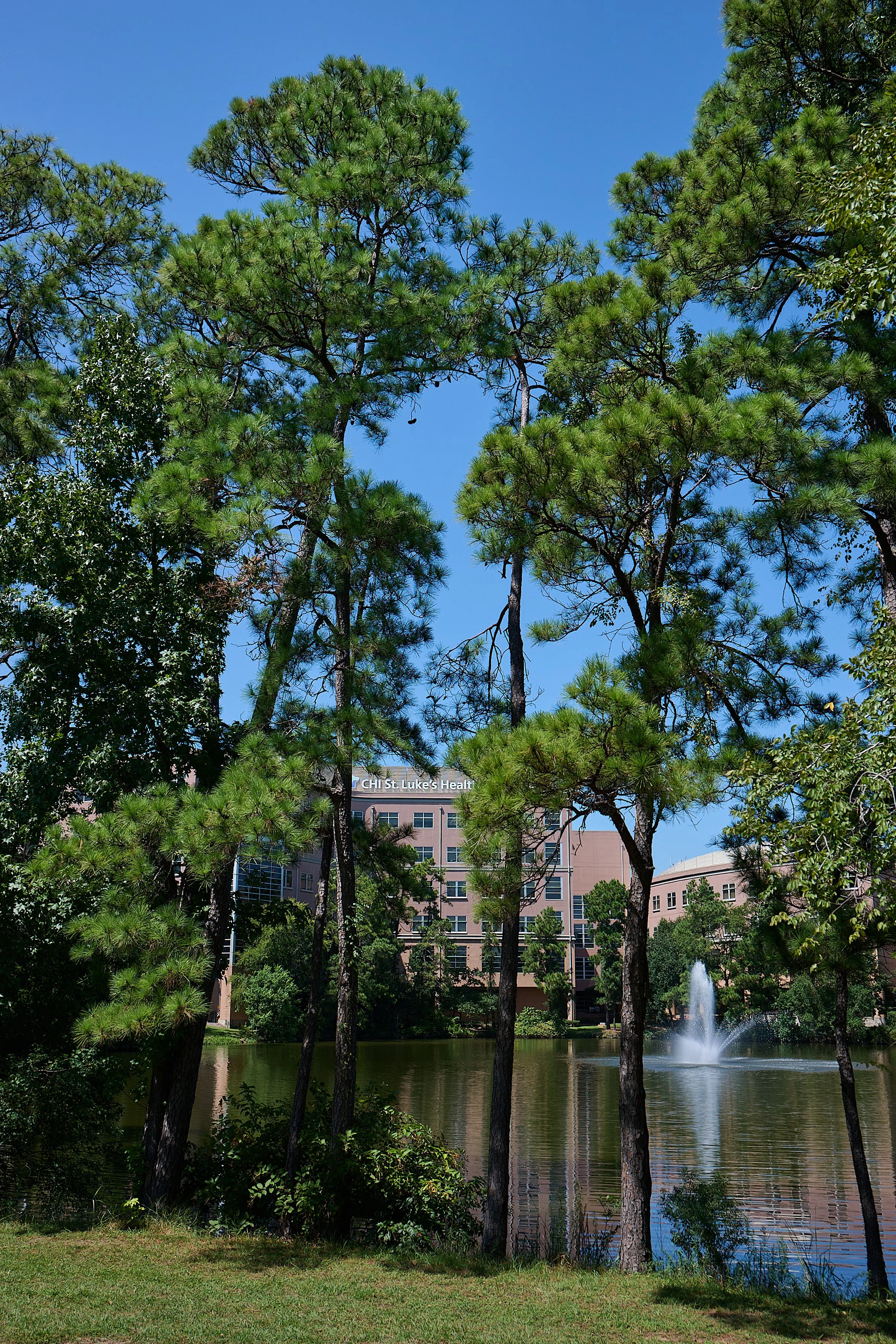 20250910_Z917139.jpg