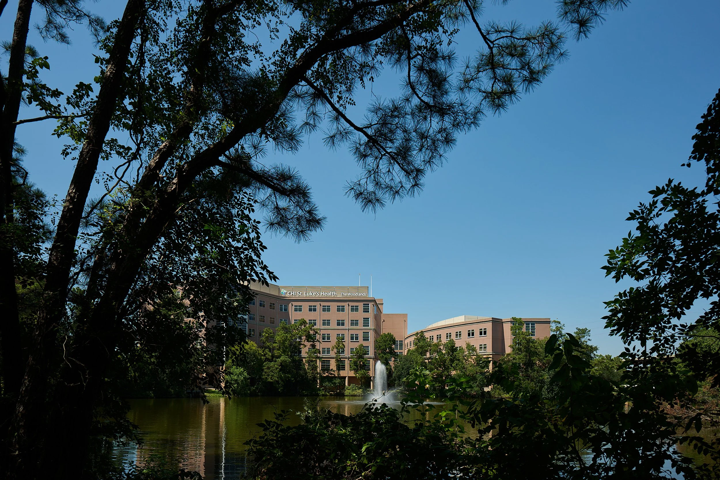 20250910_Z917155.jpg