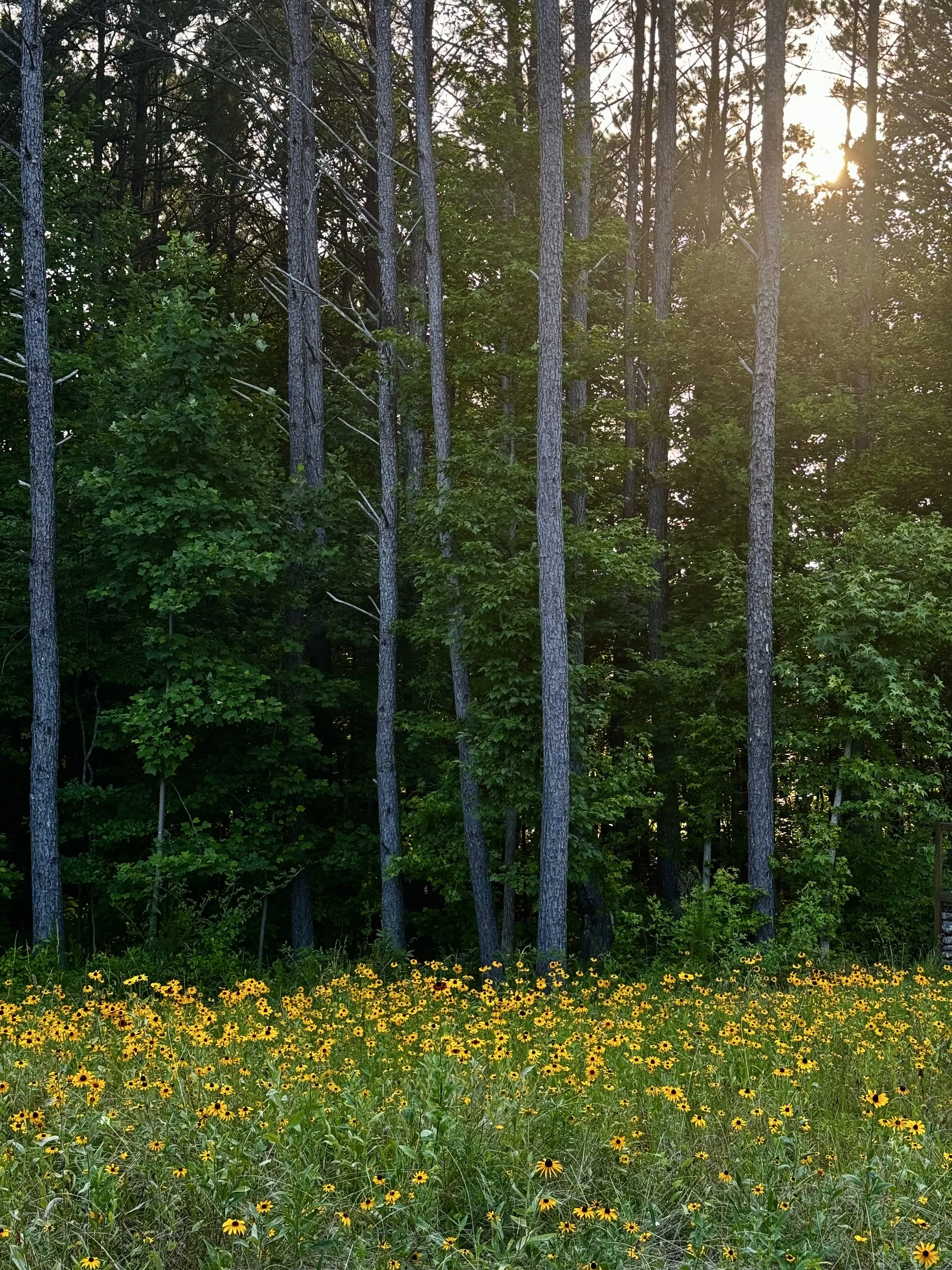 2025 at The Farmhouse