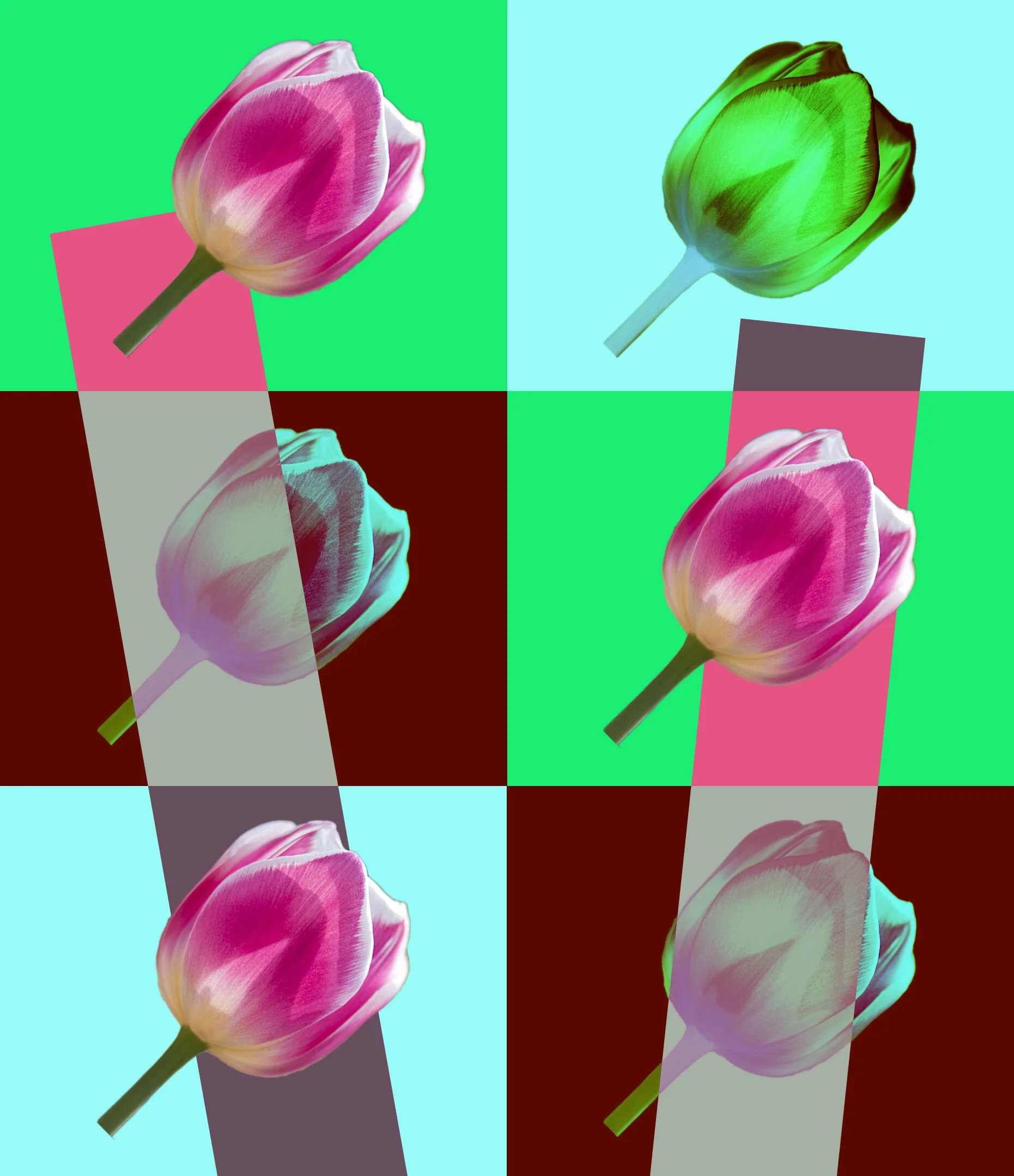 Cloudwater - Spring.jpg