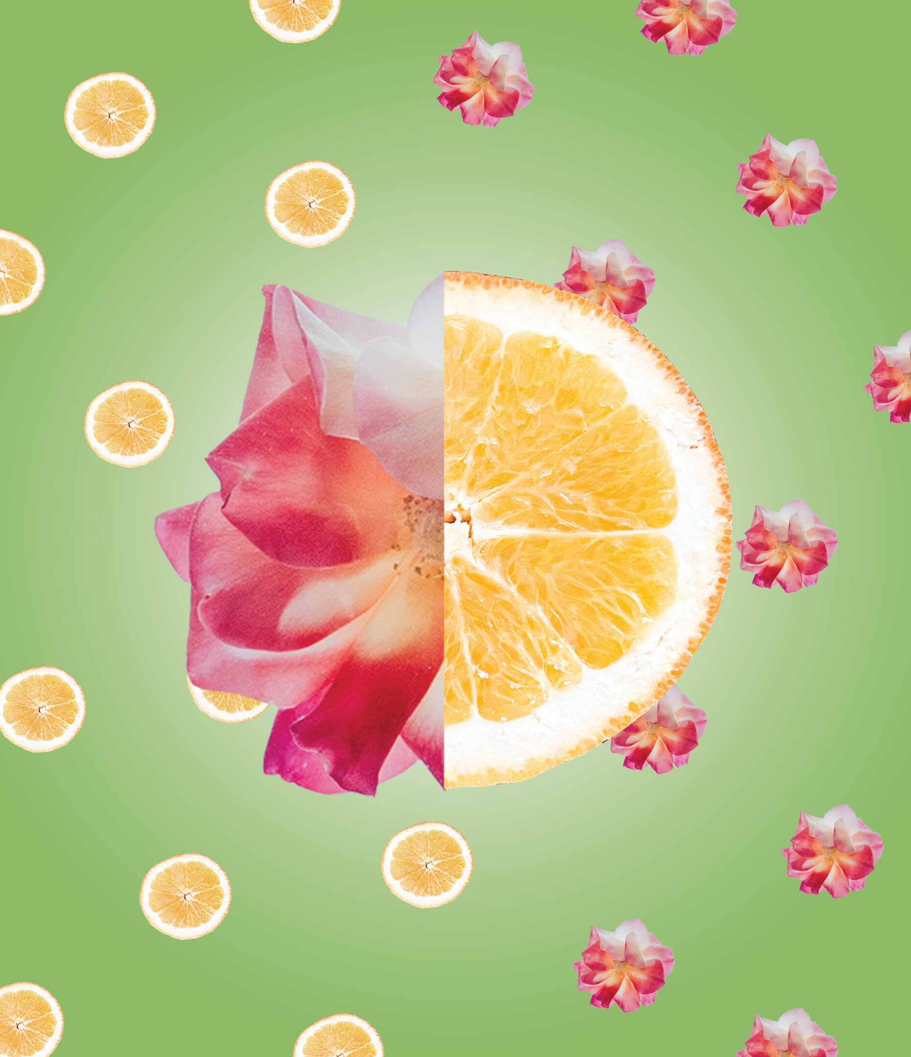 spring beer label.jpg