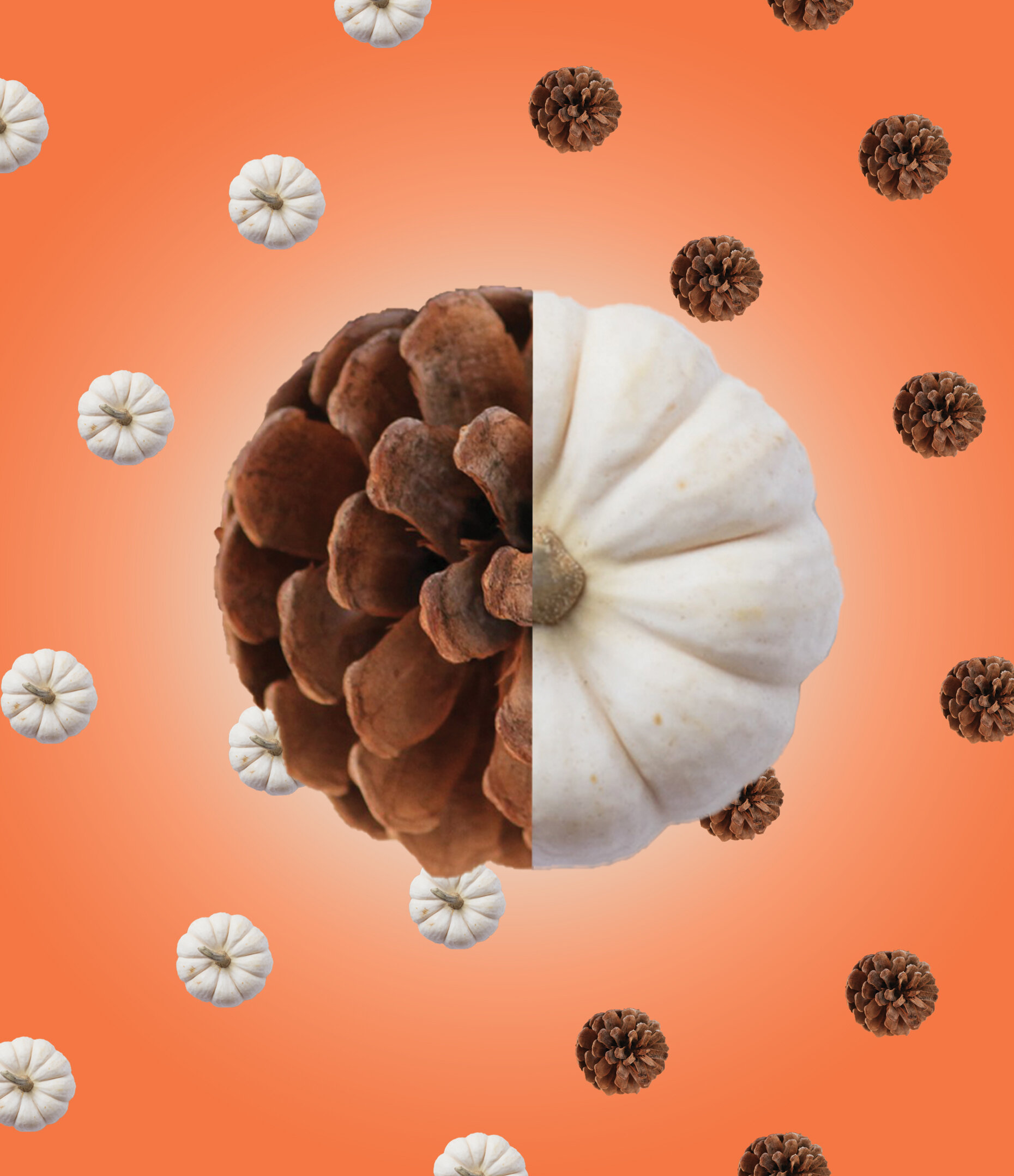 fall beer label.jpg