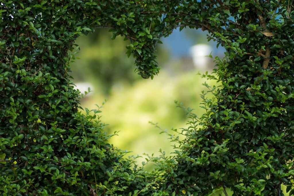 LOVE One Another