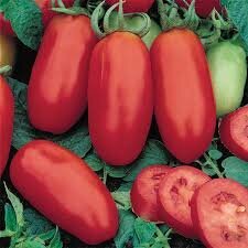 san+marzano.jpeg