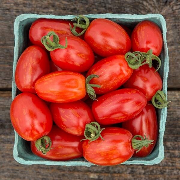 Grape Tomato, "Supernova Cherry"