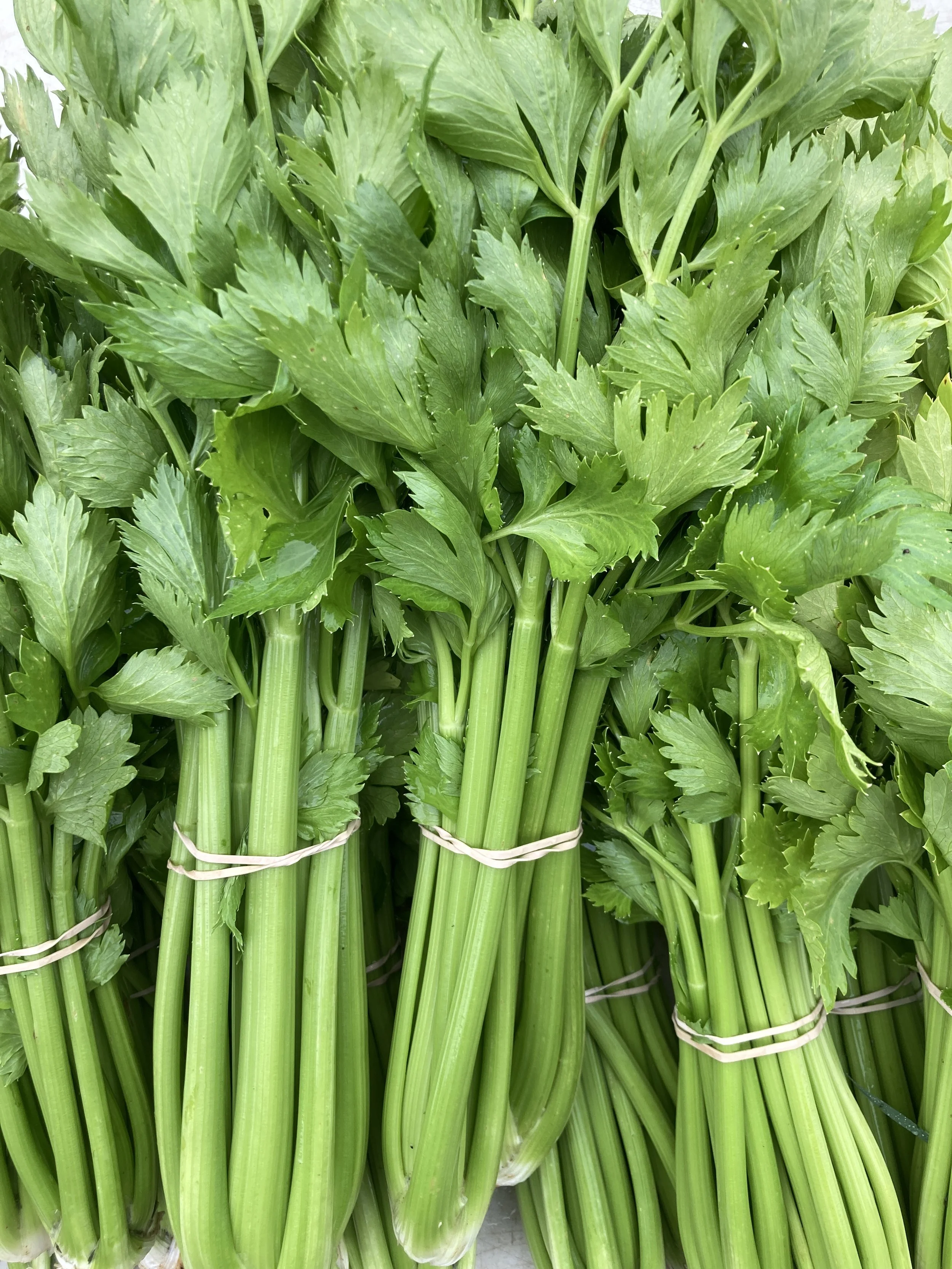 Celery
