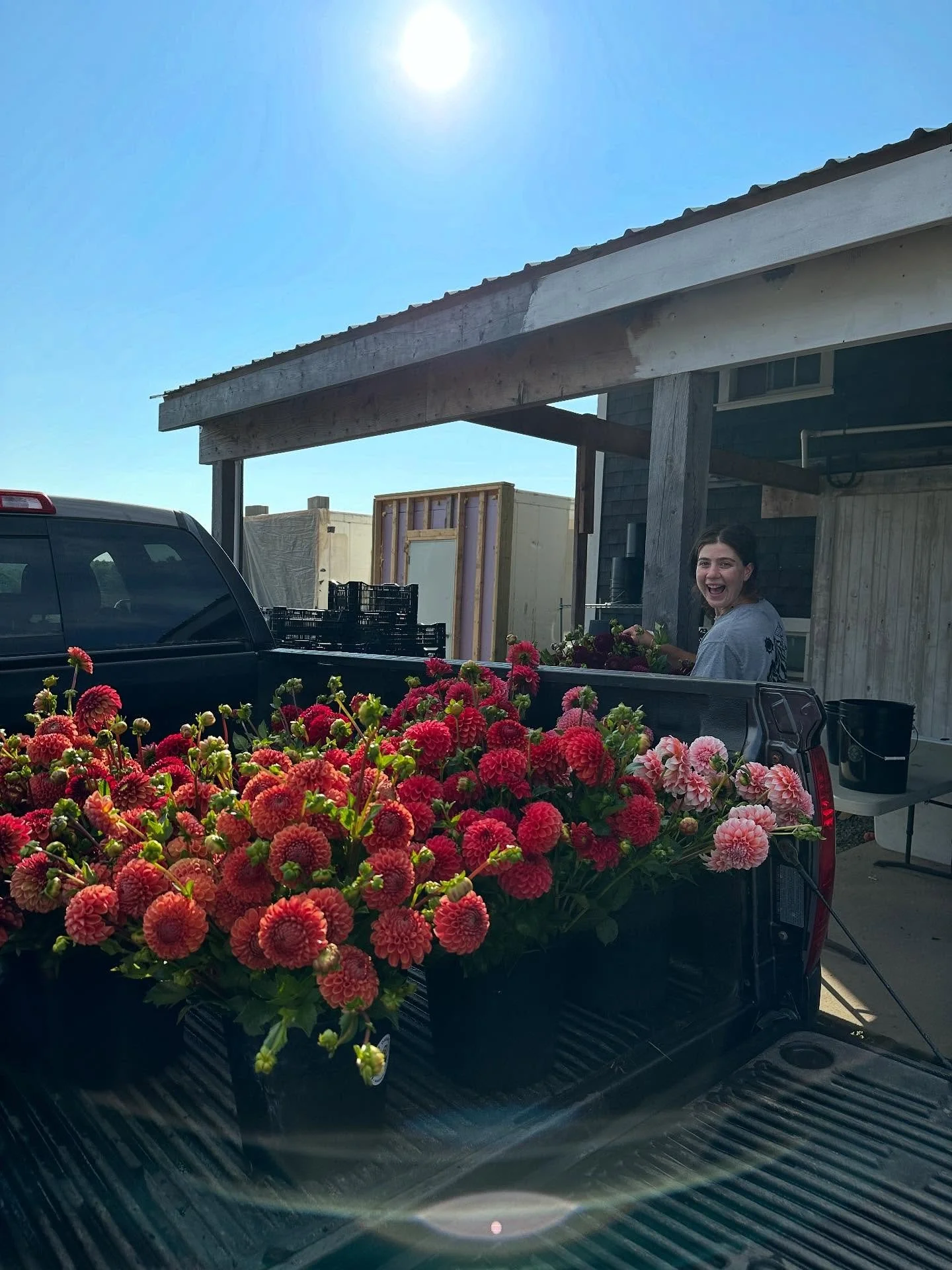 Big wholesale morning for both teams today! Thousands of flower stems went out the door, hundreds of tomatoes, edible flowers, peppers and other veggies too. If you see Ruby out on the road, give her a wave!

#mainefarms #portlandmaine #maineflowers 