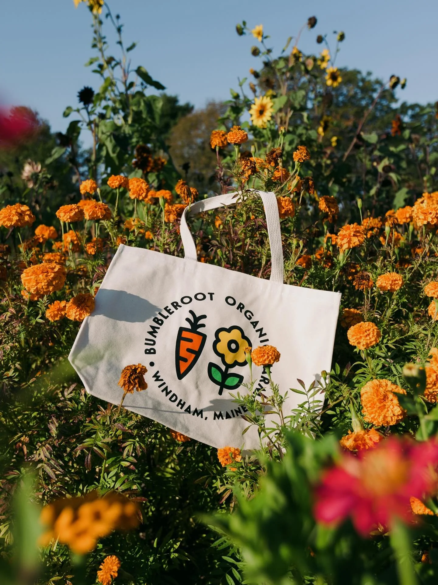 Tomorrow is our final Kids Day of the season! Join us for a true fall market - apple cider donuts, winter squash, potatoes, kale, and our new line of fall merch!

Market is from 9:00 - 1:00. Kids activities are from 9:30-12:30!

🎃 9:30 - 12:00 - @me