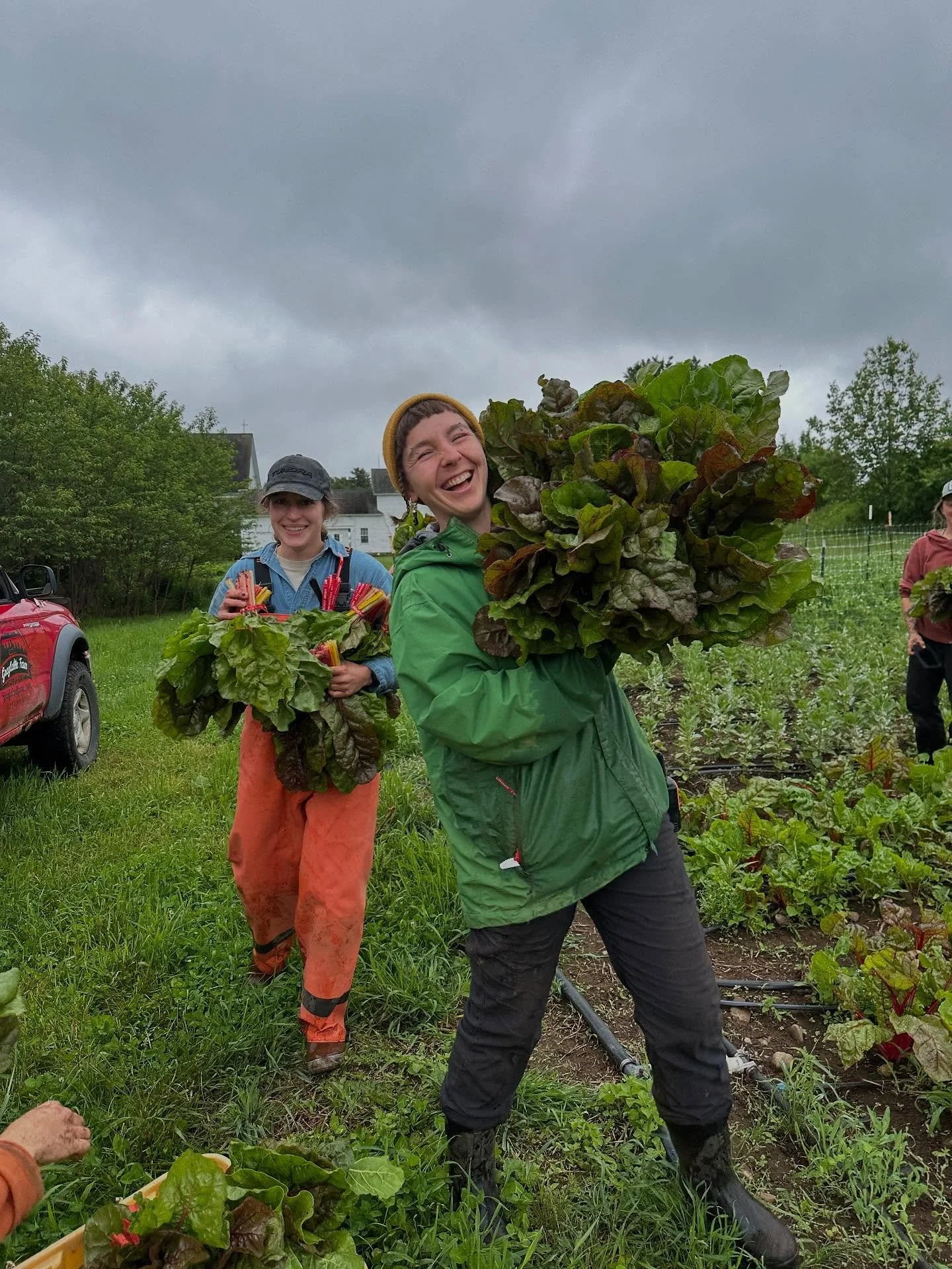 Dreaming of fall veggies, sweater weather, and seeing this cool farmers each week? Join our Fall CSA!

&bull; 6 weeks of fall veggies
&bull; October 22- November 25
&bull; Get fall roots, kale, spinach, salad, leeks, winter squash and more!
&bull; Pi
