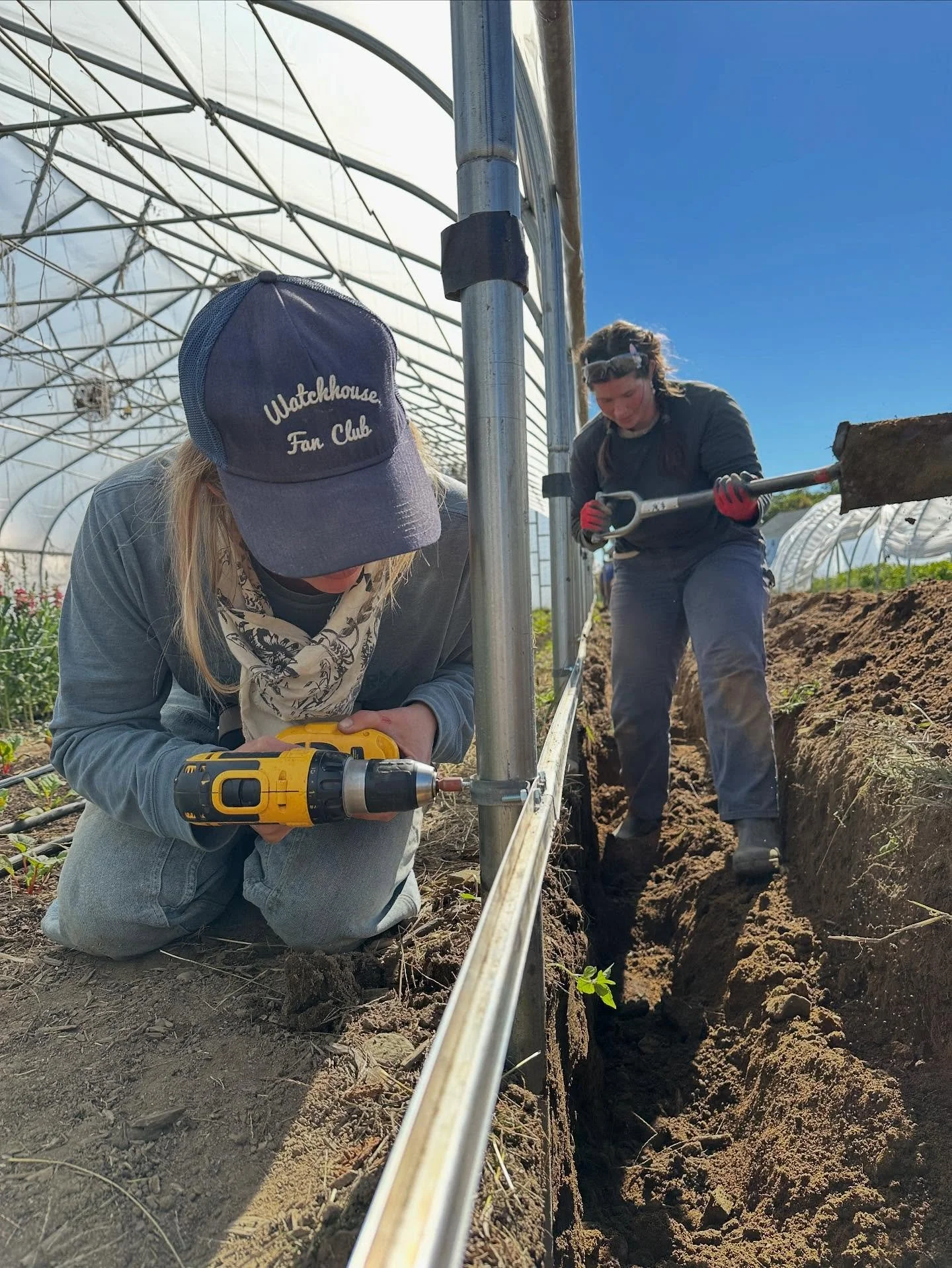 It&rsquo;s fall project season! 🍂🍁

Our team replaced the baseboards on two of our high tunnels. This project featured lots of digging, drilling, and filling. We even installed drainage to fix a wet zone. Now, our high tunnels will be ready to take