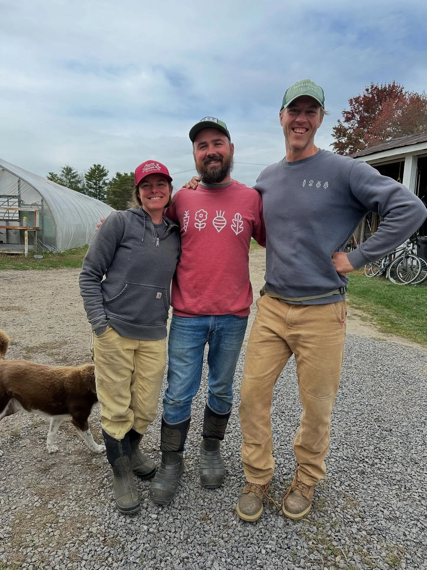 We wanted to take a moment to reintroduce ourselves!
We’re Melissa, Ben and Jeff, the owners of Bumbleroot Organic Farm. This is our 11th season farming together!
🌻 Melissa runs our flower operation, coordinates with @maineflowercollective a