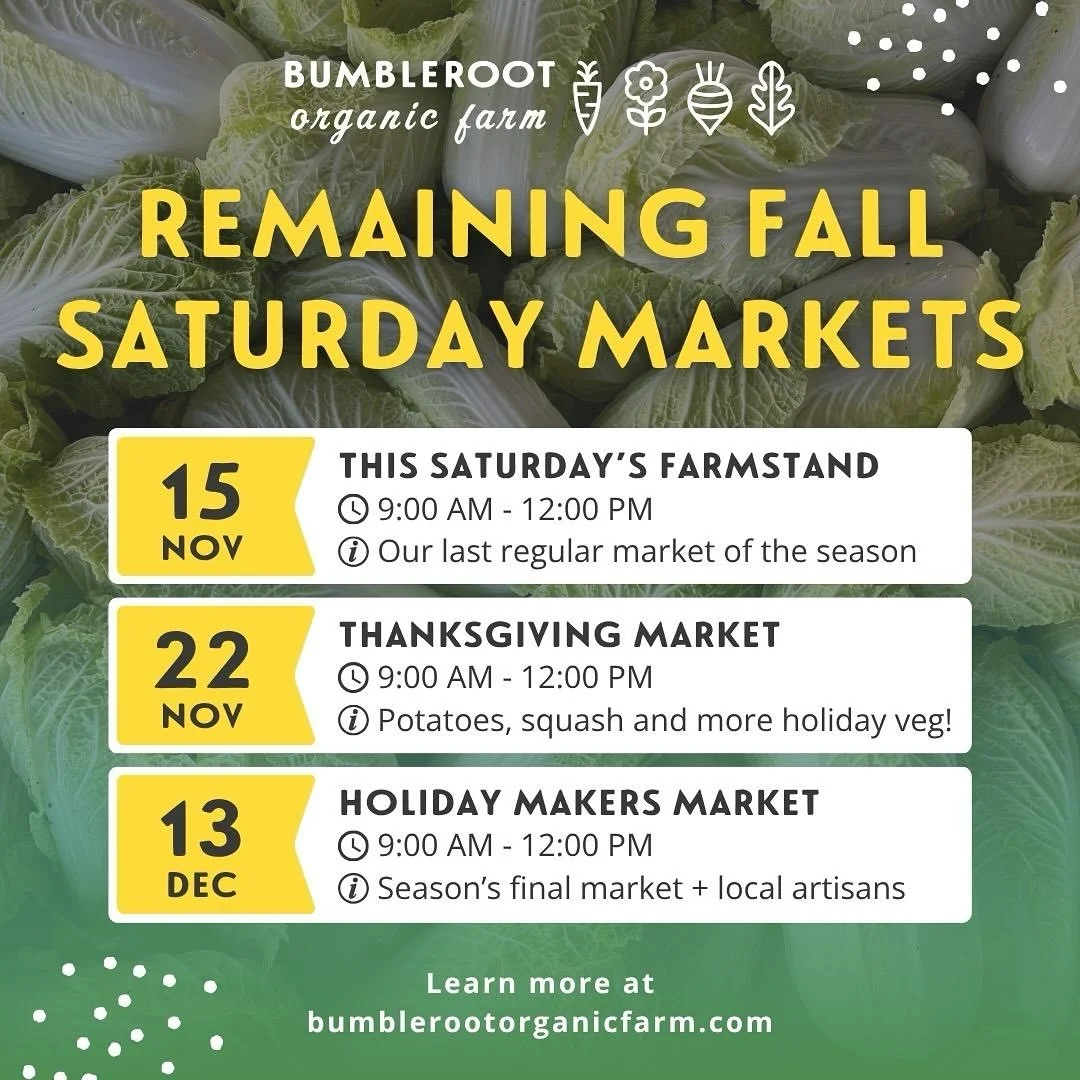 🚨 Only 3 markets left this season! 🚨

Join us in our heated greenhouse for our remaining Saturday farmstands. 9am - 12pm. 

We&rsquo;re stocked with fall veggies, @orchardridgemaine bagels and donuts, @nightmovesbread, @winterhillfarmer cheeses, an