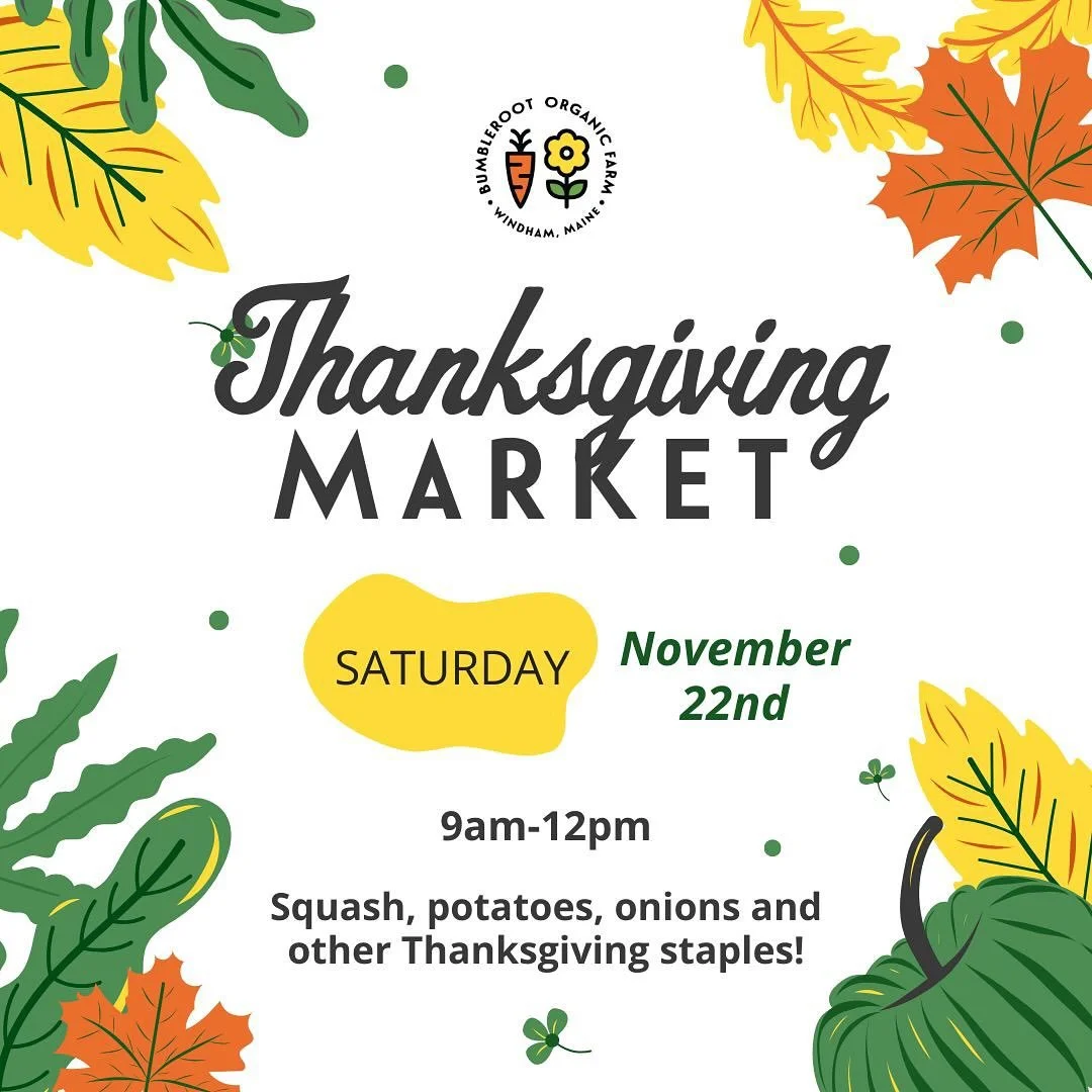 Join us this Saturday for our annual Thanksgiving Market! 9am - 12pm in our heated seedling house. 

Stock up on holiday veggies, and our usual @orchardridgemaine bagels and donuts. 

*This is our last market until December 13th*
See you Saturday!