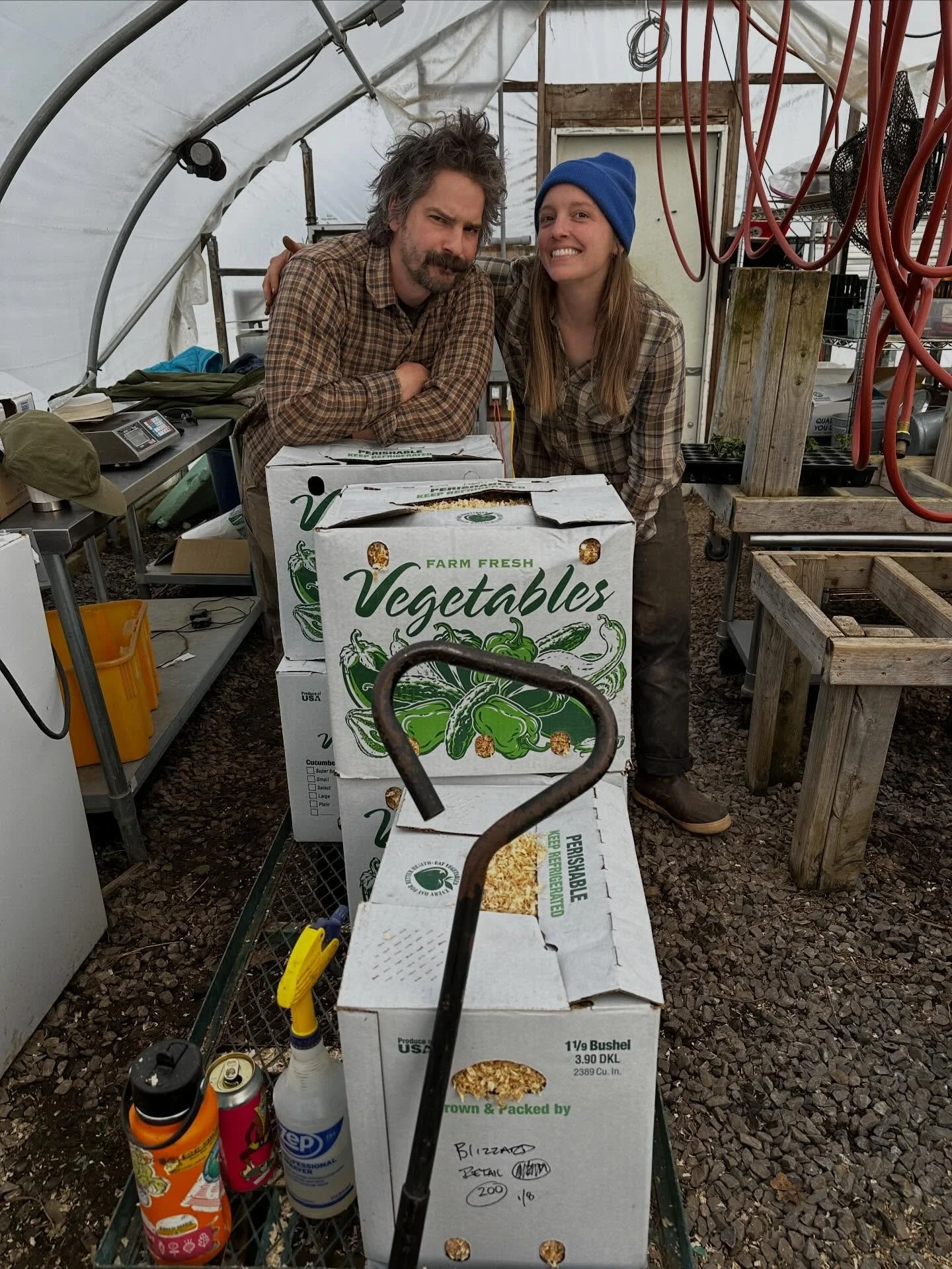 Dahlia tuber dividing is complete! ✅ This is our biggest winter tasks and it feels amazing to have it behind us.

Our online dahlia shop closes in 2 weeks! Inventory is updated with every last tuber we have available. If you&rsquo;ve been eyeing a sp