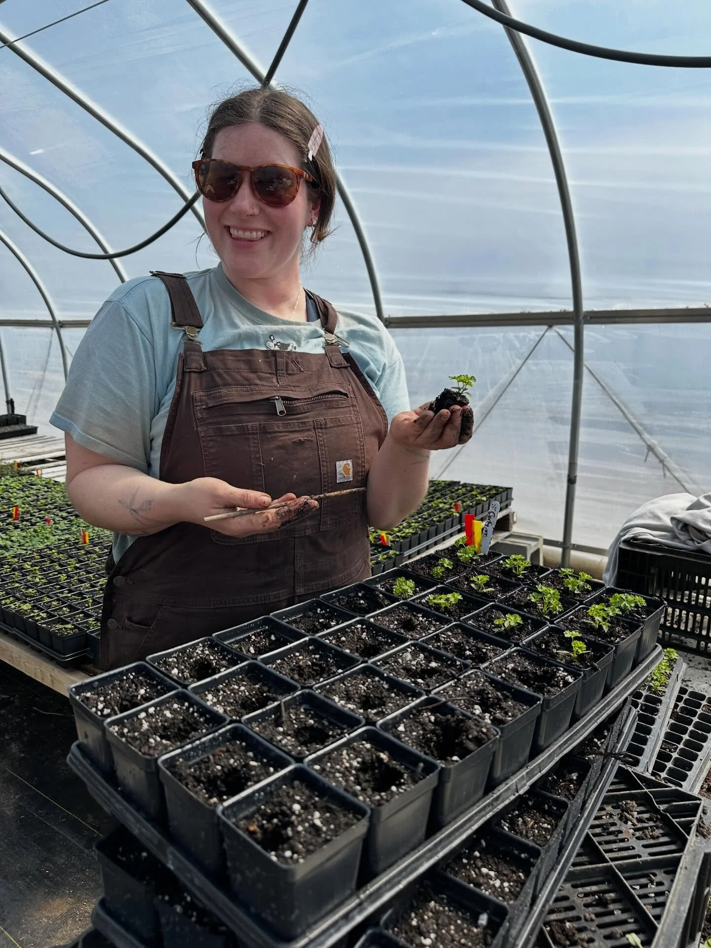 It&rsquo;s our full crew&rsquo;s first week back at the farm! We&rsquo;re jumping right in with our biggest seeding and pot up of the season. Over 400 trays are getting seeded for our plant sale in May!

Our indoor spaces are quickly filling with see