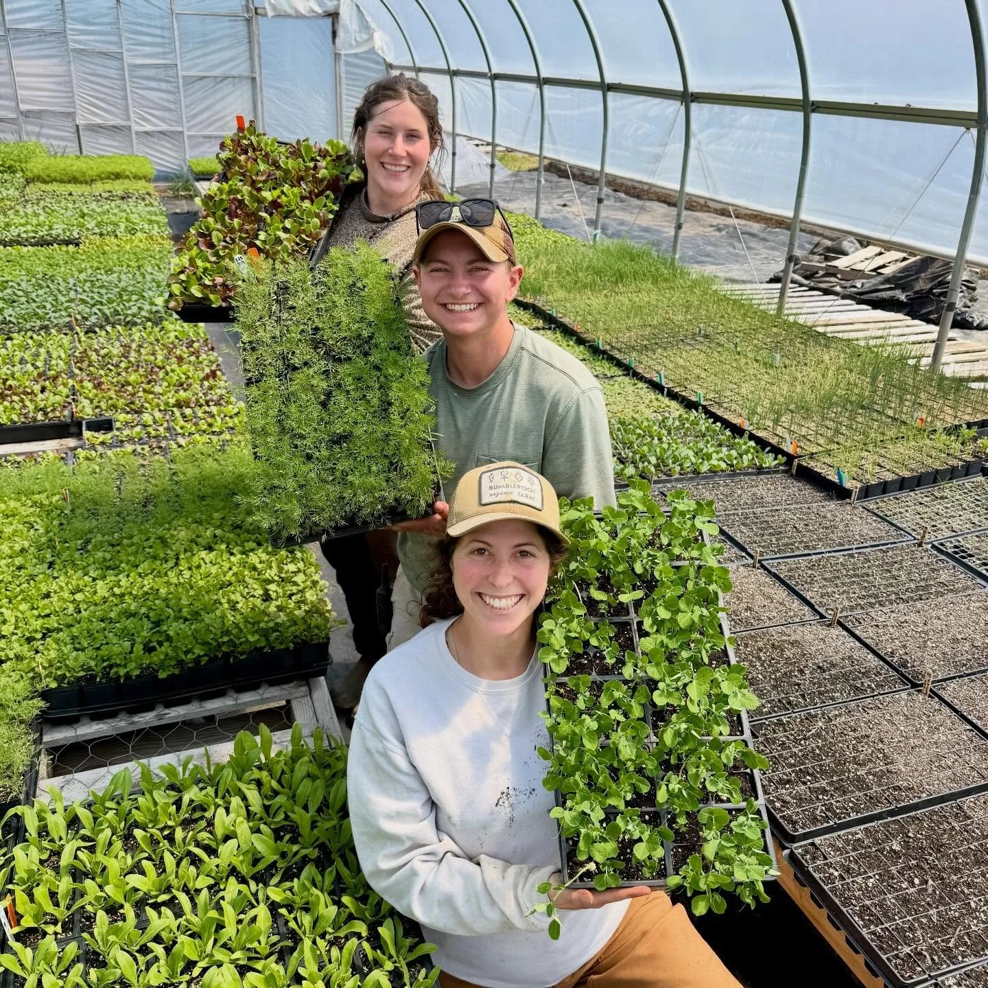 We are in the final hours of our seedling pre-sale‼️Place your order by this Thursday at midnight and start your garden off right with organic seedlings! 🌱 

Our yearly plant sale features over 100 varieties of organic vegetables, flowers, herbs, an