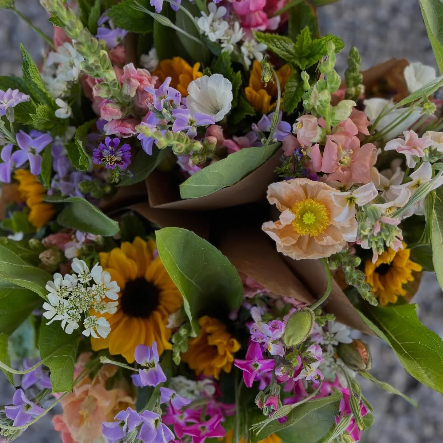 Mother&rsquo;s Day is coming up! 🌷 This year, gift mom a bouquet from our farmstand or a whole summer of flowers! 

Our CSA offers 6 or 12 weeks of mixed bouquets. Experience vibrant colors from our summer staples. Bouquets will include zinnias, sun