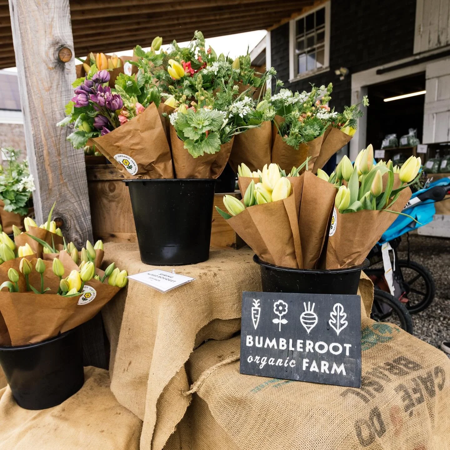 Come on down for our Mother&rsquo;s Day Weekend Maker&rsquo;s Market, this SATURDAY, MAY 9! 9am - 1 pm 💐

Join us, as well as local small businesses and vendors, to celebrate the moms in your life. This is our opening market and plant sale! Come kic
