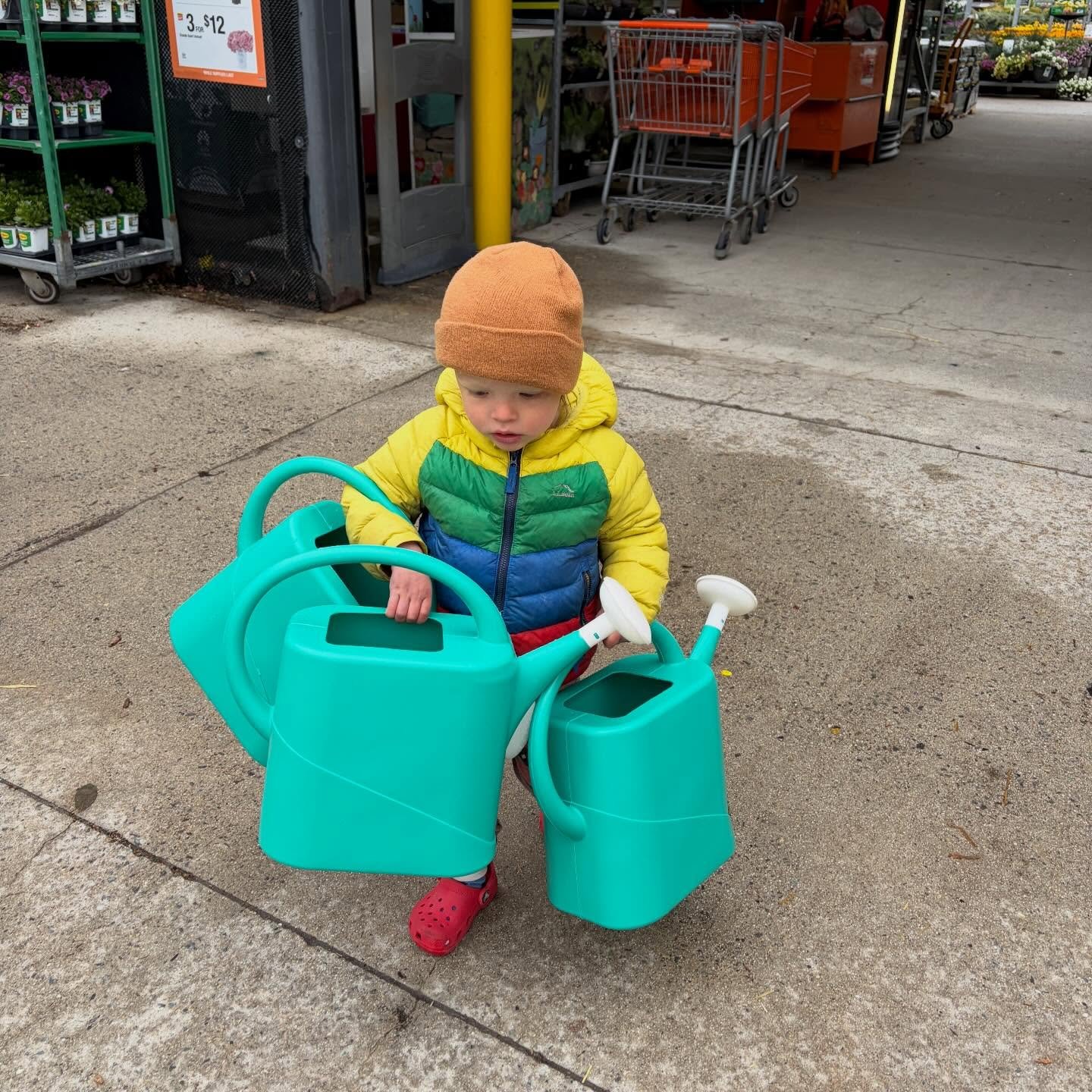 Calling all gardeners, small and tall! 📣

Find our seedlings around the greater Portland area for the whole month of May! Certified organic veggies, flowers &amp; herbs for your garden will be available at your local grocers. 

🌱 @rosemontmarket (B