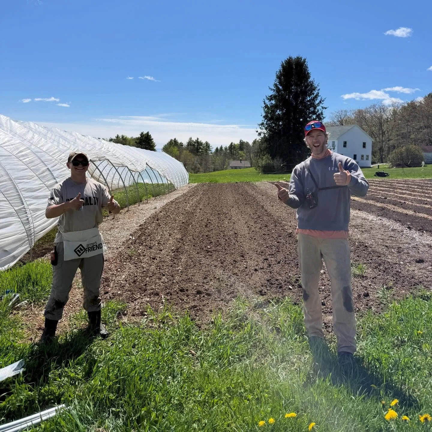 Rome was not built in a day, but this cat (almost) was!

We love caterpillar tunnels on our farm. They are great for season extension and protecting crops from harsh weather! 

This new addition will allow us to plant peppers next week, when it will 