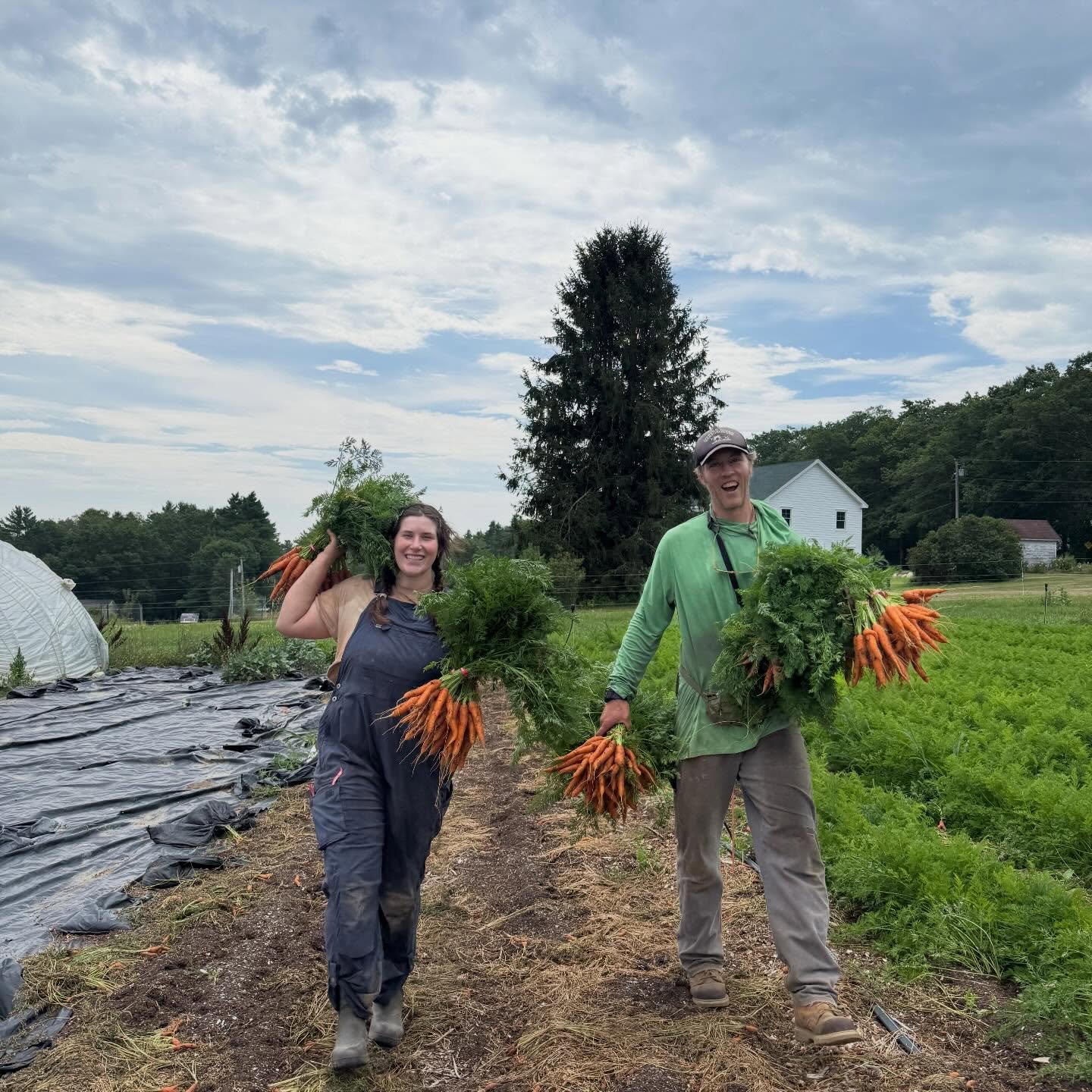 It&rsquo;s about time we re-introduced you to a very important member of the Bumbleroot team: Elsa! 🧚

She&rsquo;s our greenhouse goddess, THE queen of water, and a real life fairy! Find her on the farm seeding trays, watering seedlings, and craftin